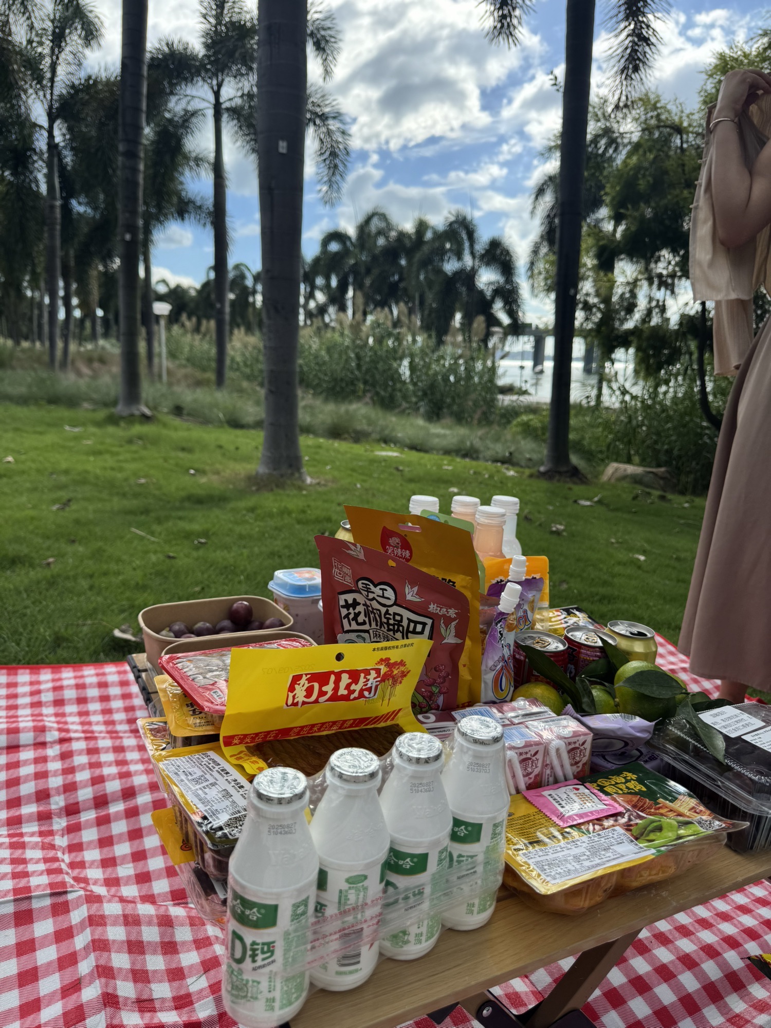 场地封面-前海石公园-星空草坪