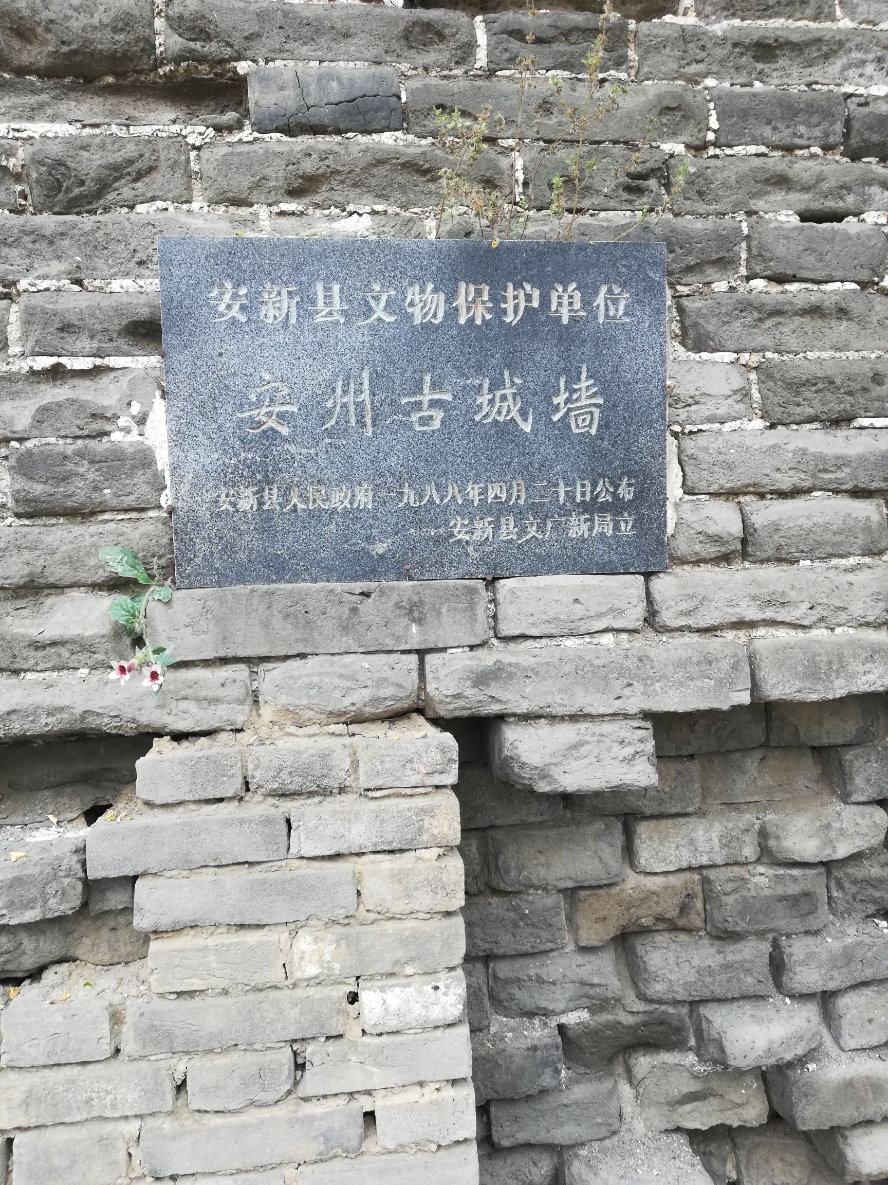安州古城墙旅行图片 2