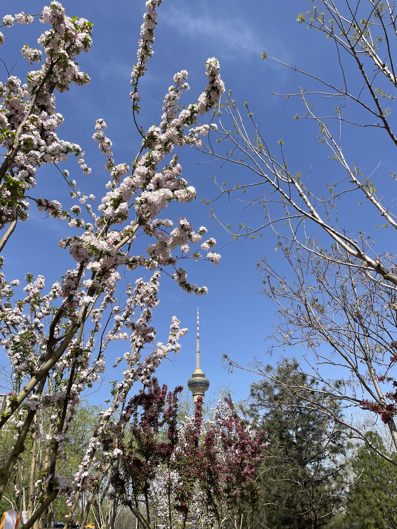 儿童科学公园旅行图片 3