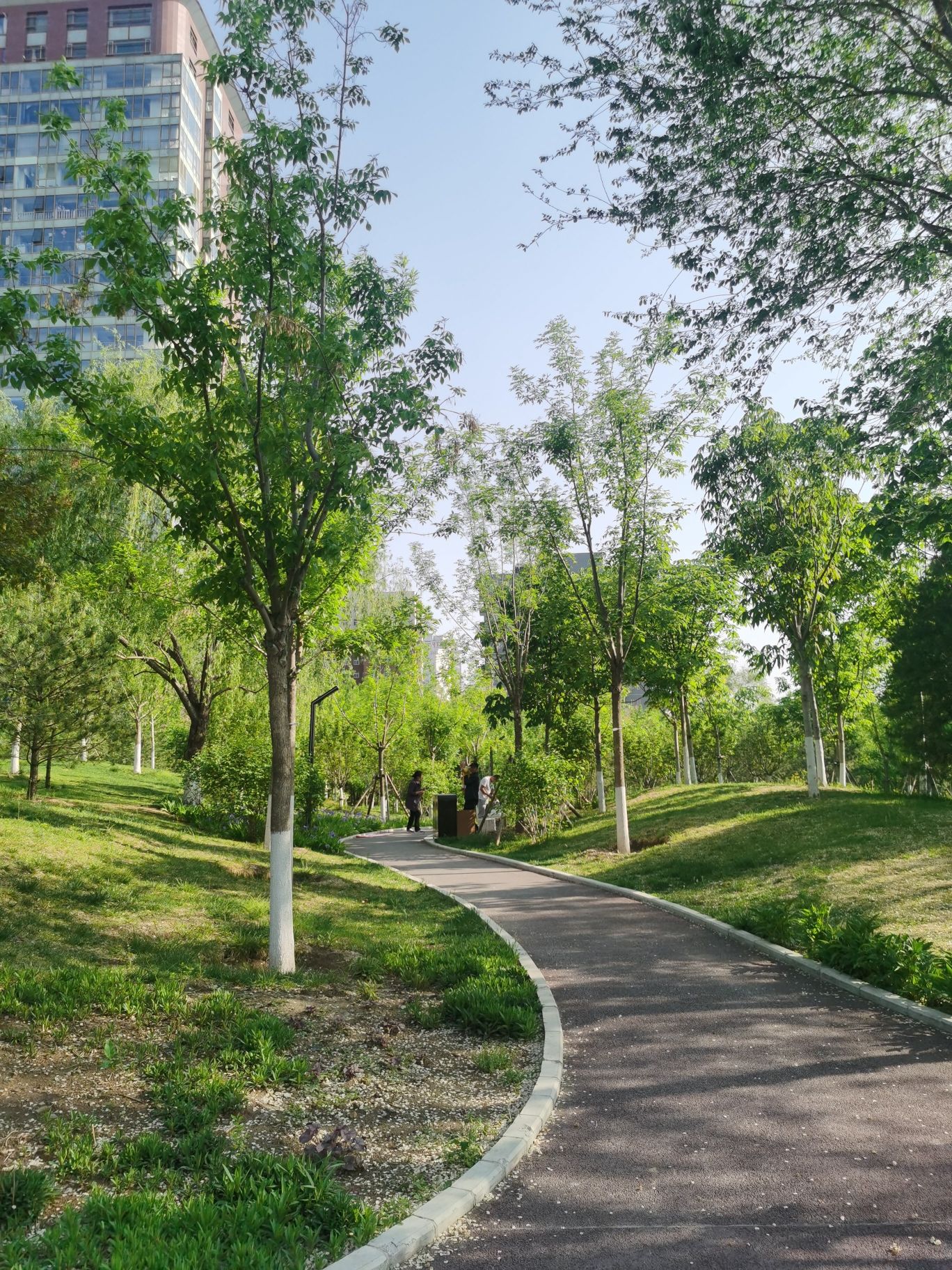儿童科学公园旅行图片 2
