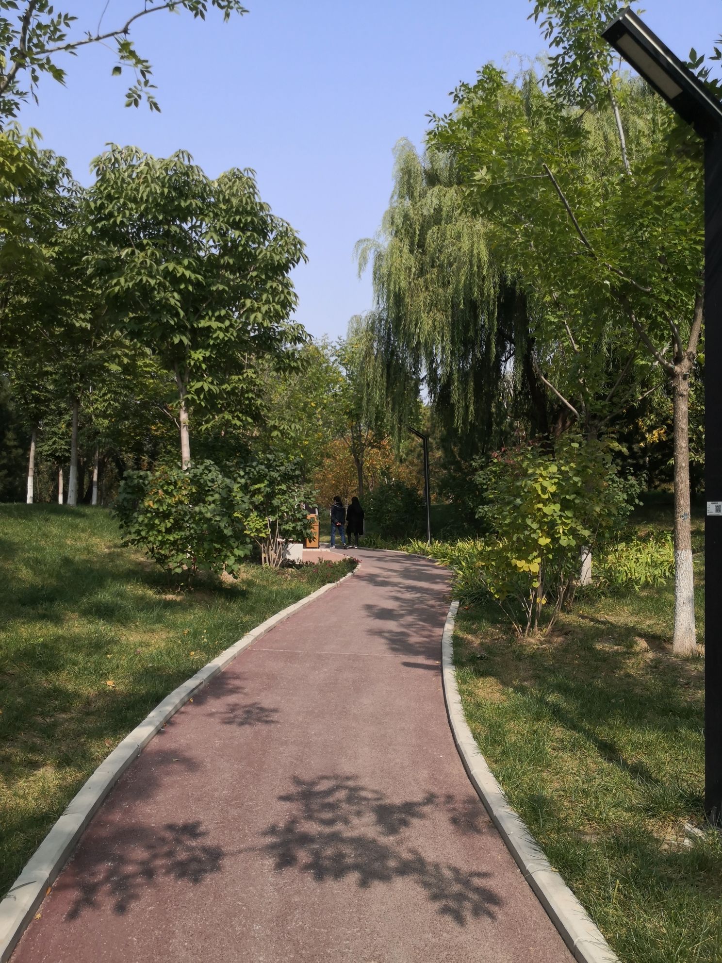 儿童科学公园旅行图片 2