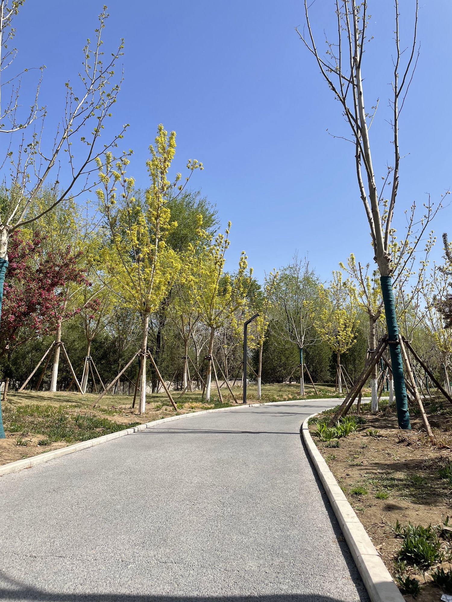 儿童科学公园旅行图片 2