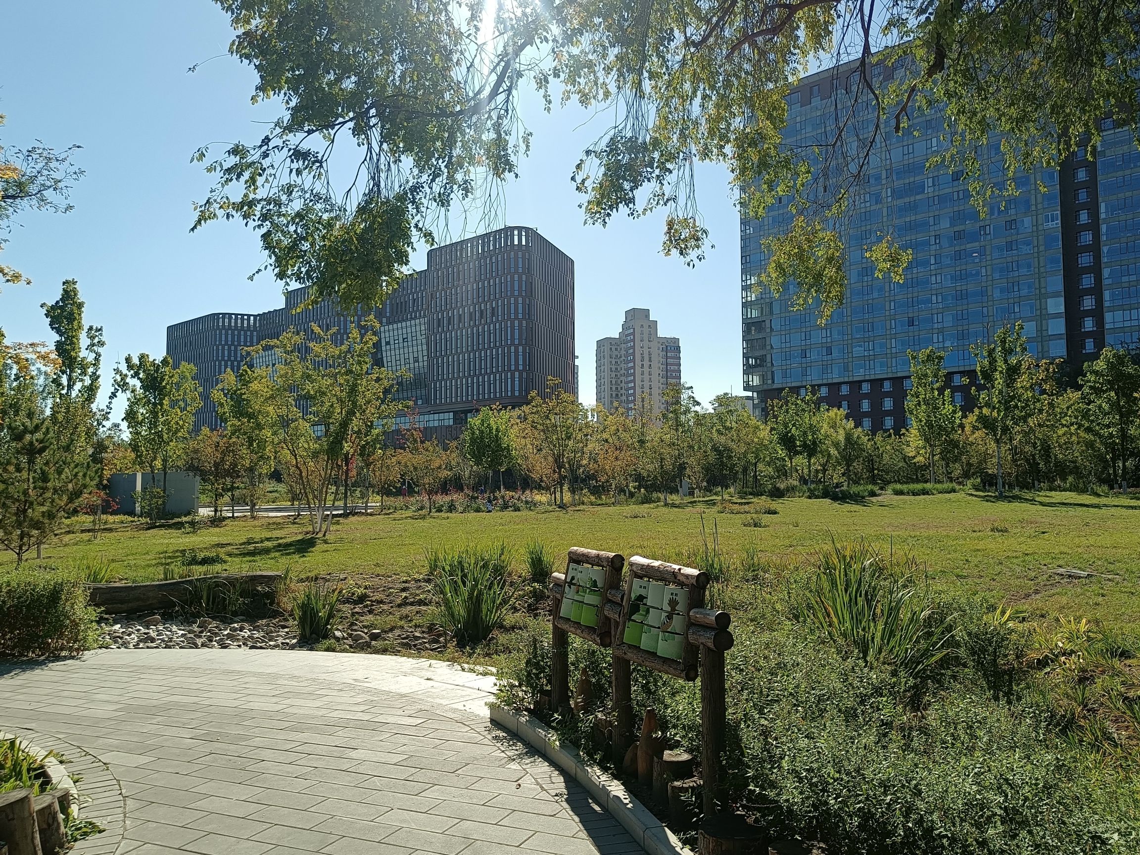 儿童科学公园旅行图片 3