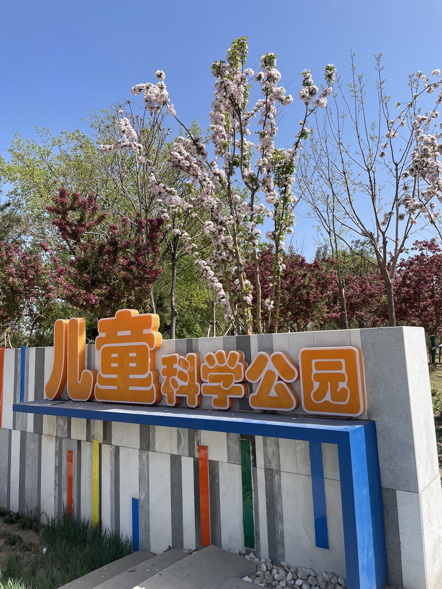 儿童科学公园旅行图片 1