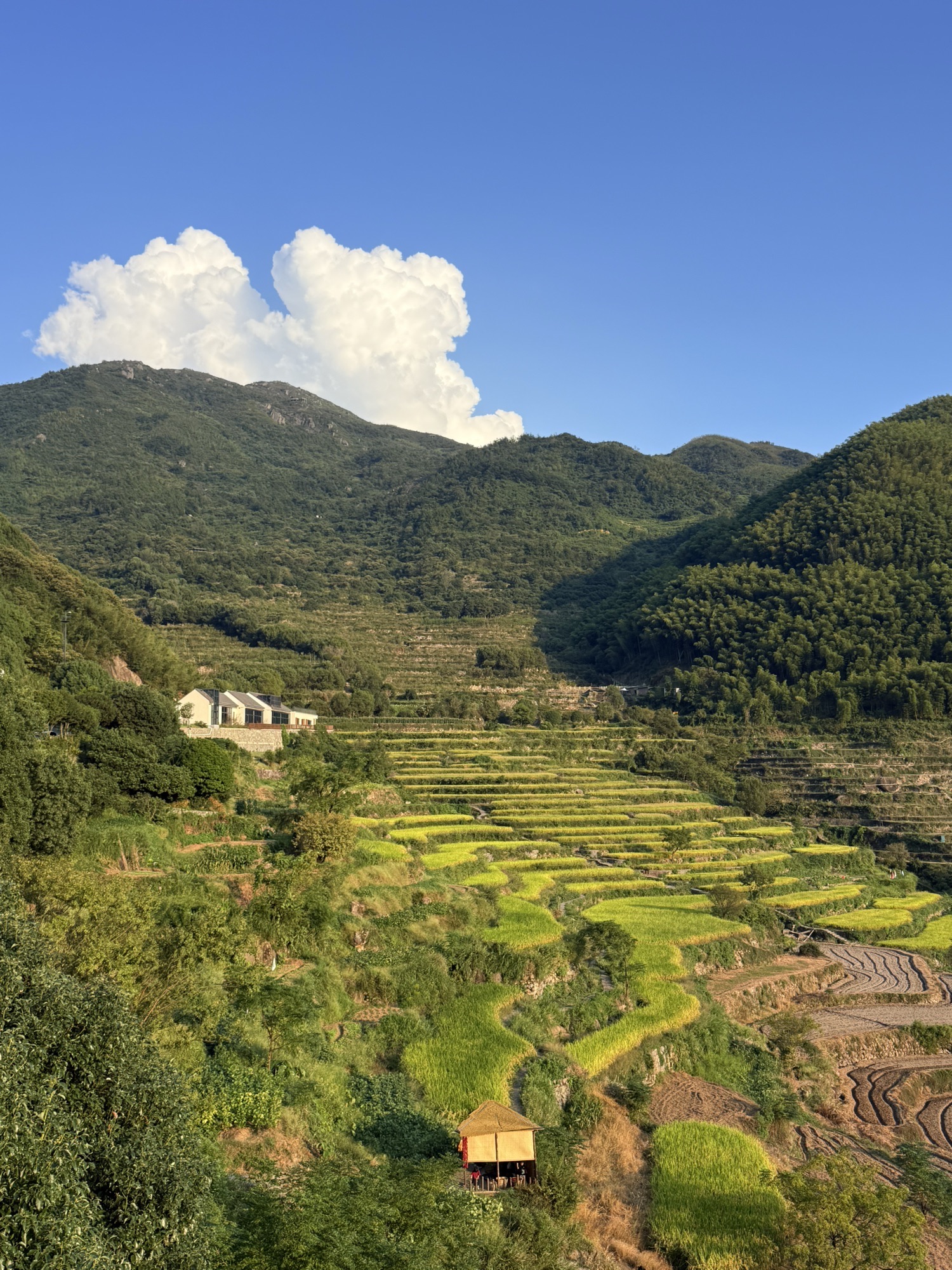 覆卮山景区观景平台