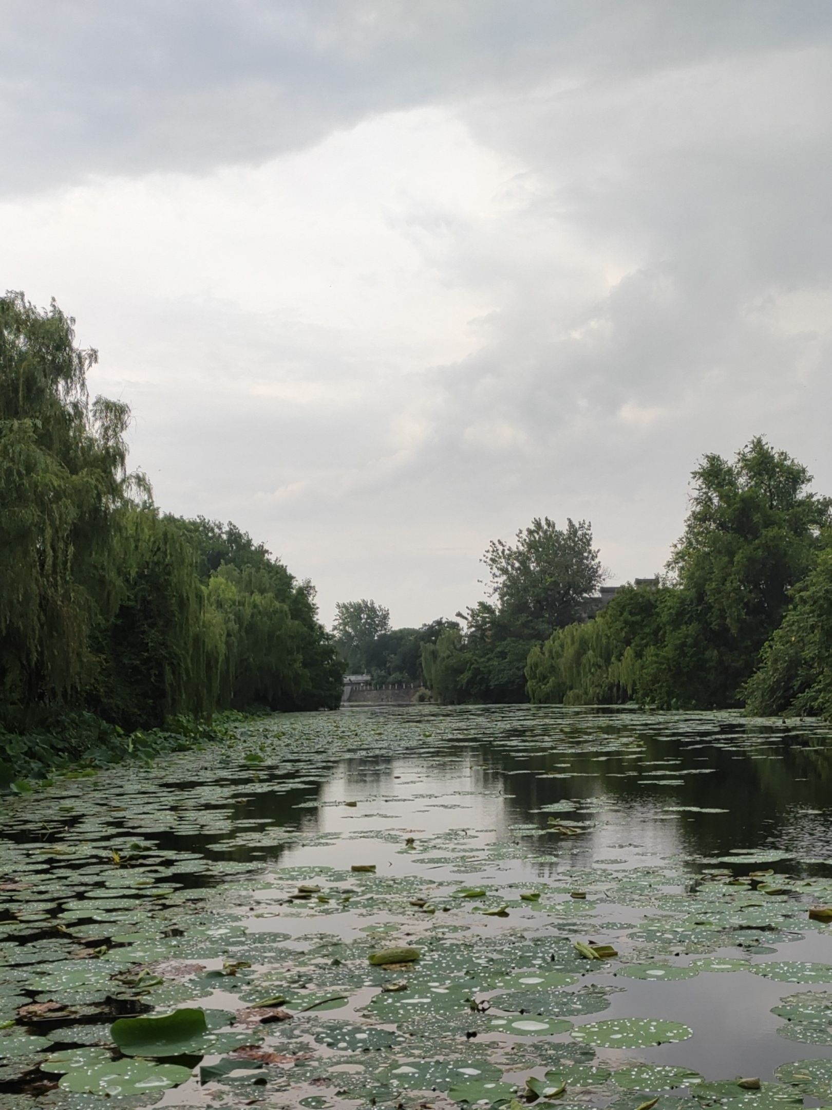邵伯湖灯塔旅行图片 2