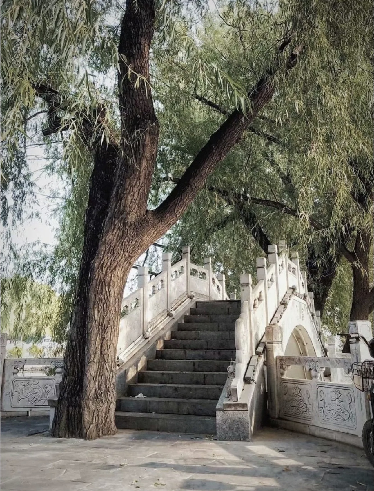 大激店文化广场旅行图片 2