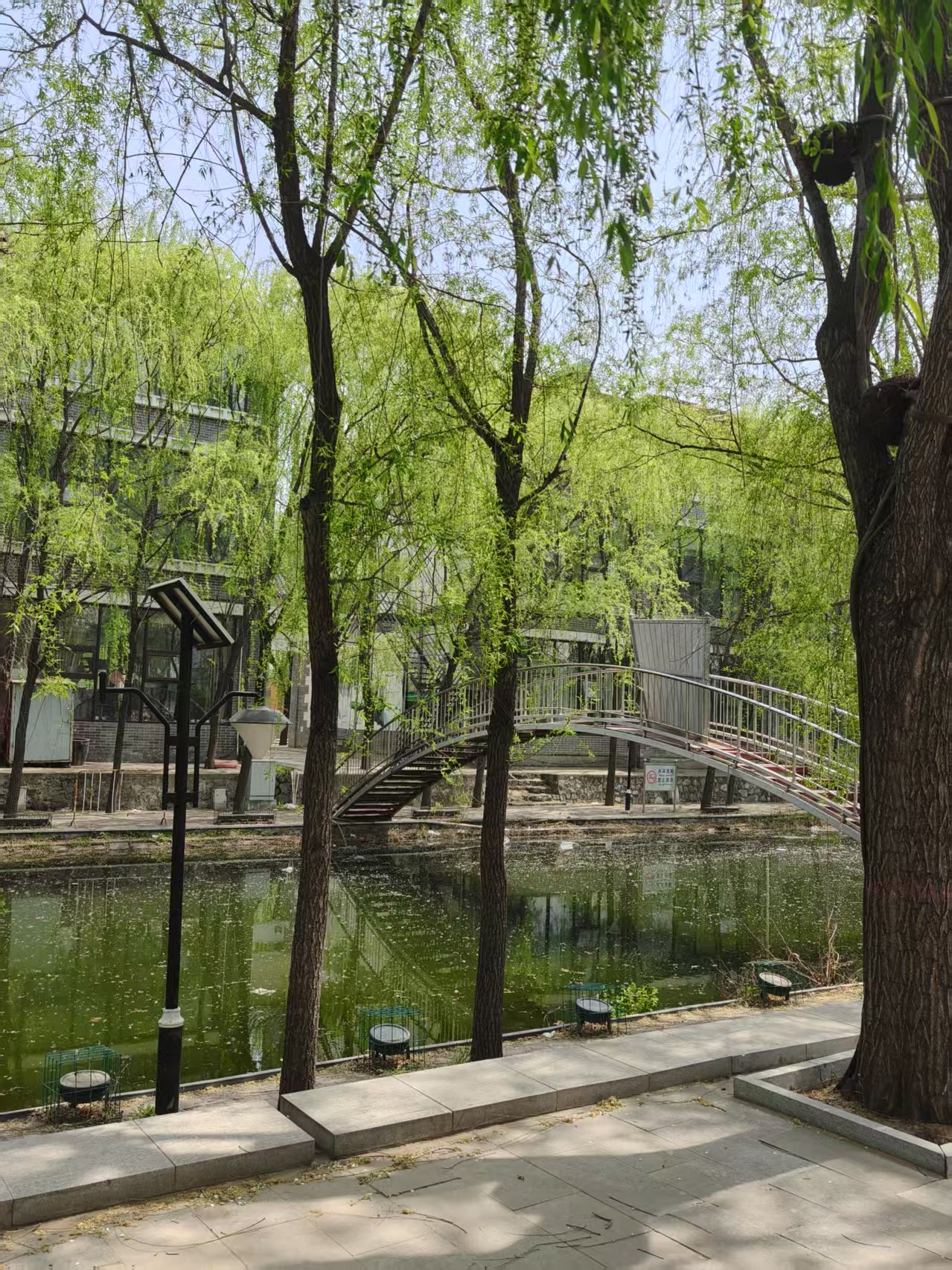 大激店文化广场旅行图片 3