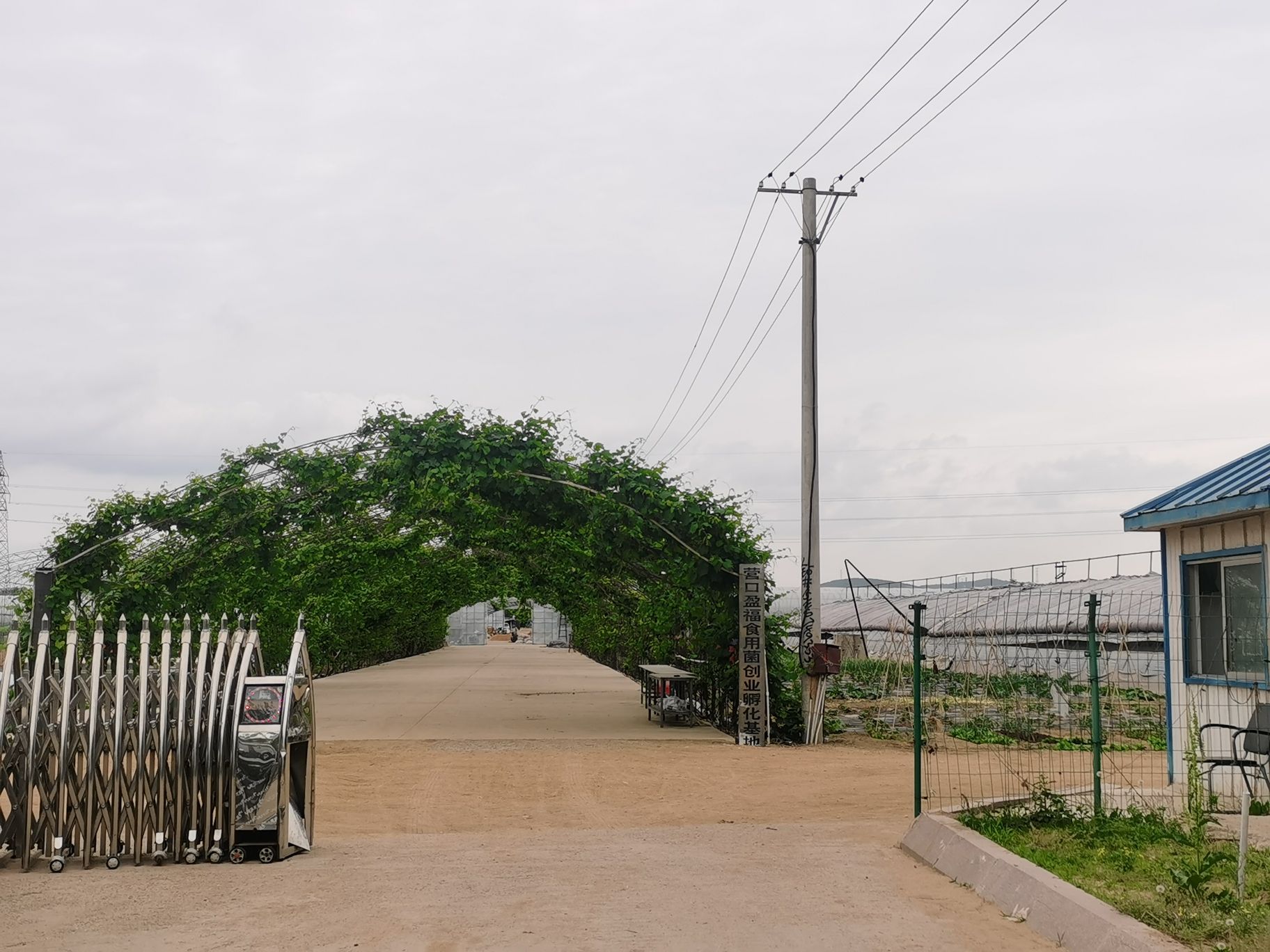 营口盈福高科技农业种植基地