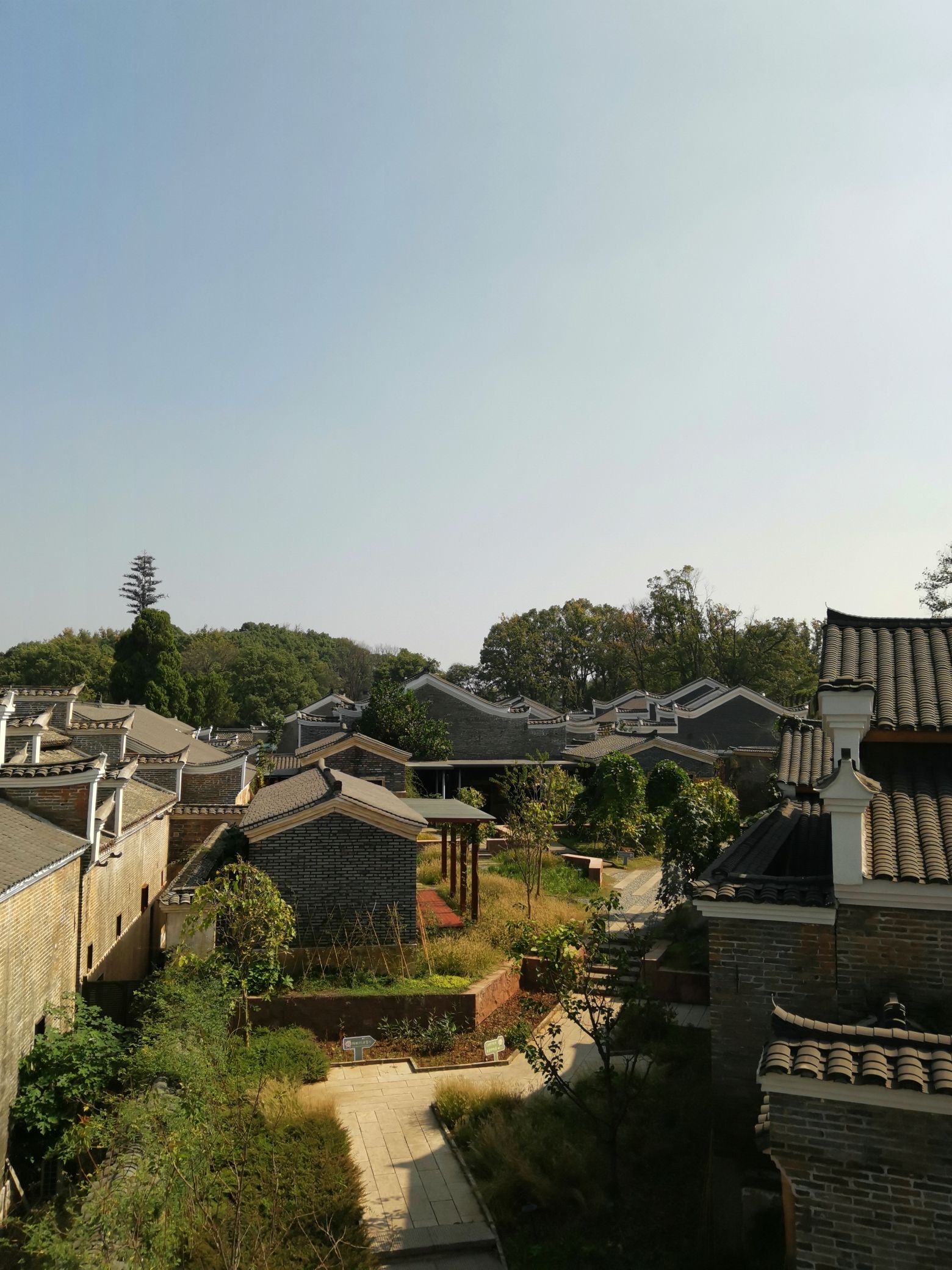 钓源十里芳菲旅行图片 3