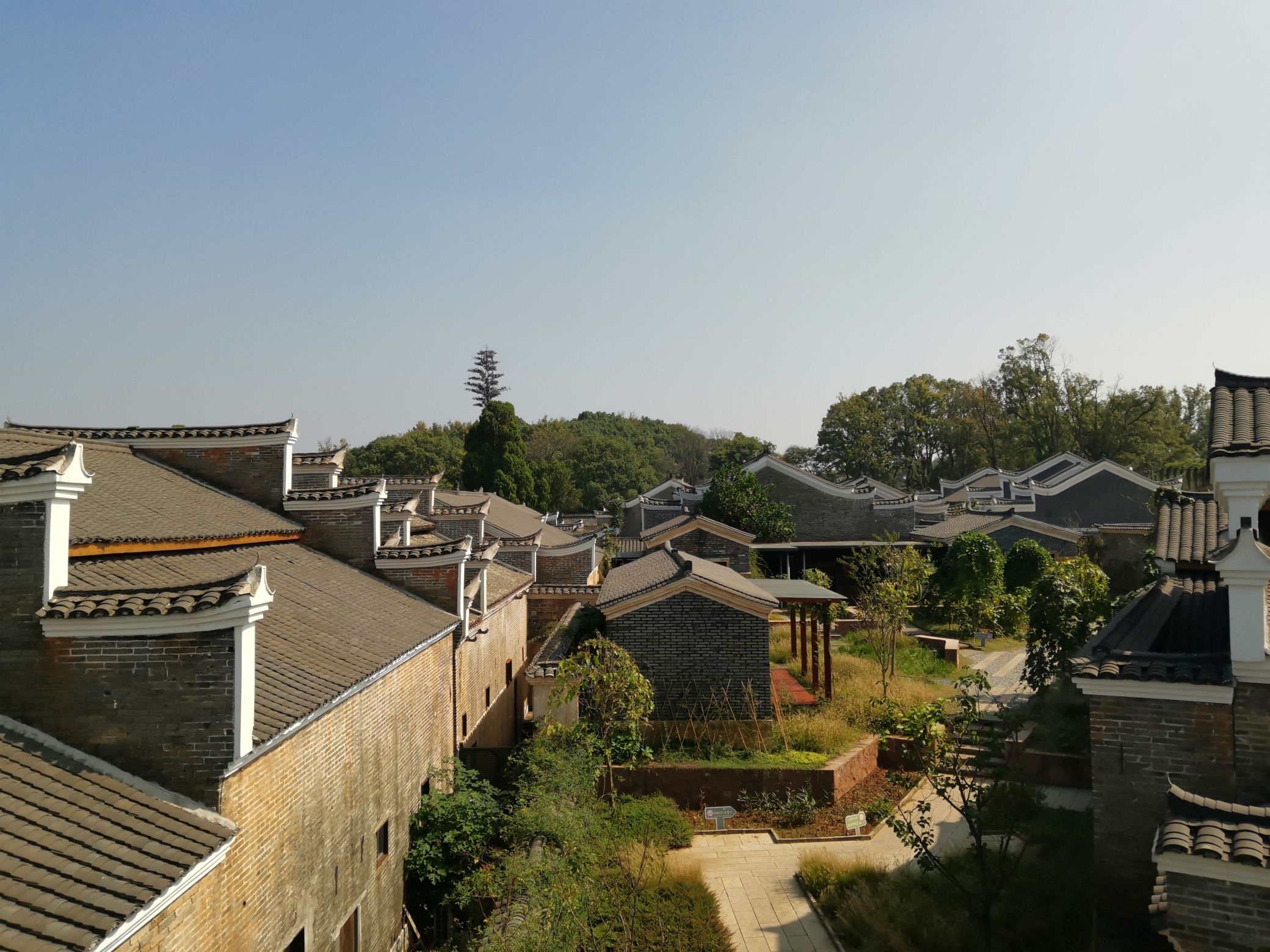 钓源十里芳菲旅行图片 2
