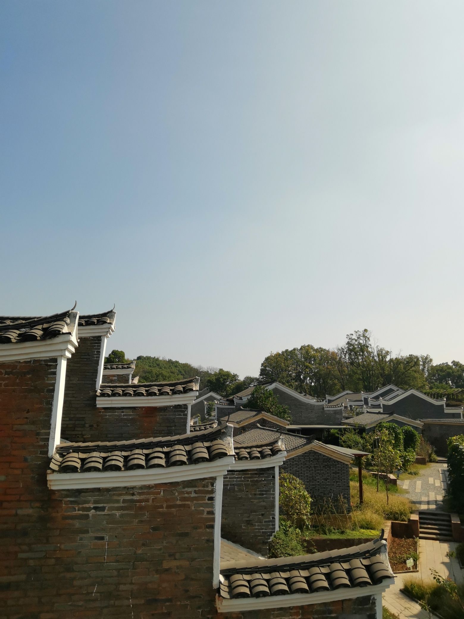 钓源十里芳菲旅行图片 1