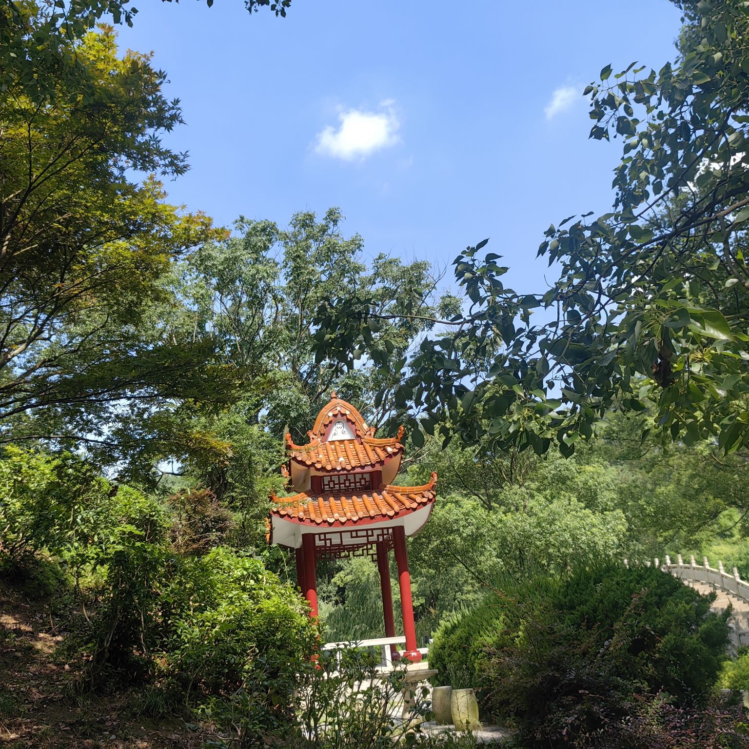 君山区低碳科普公园旅行图片 2