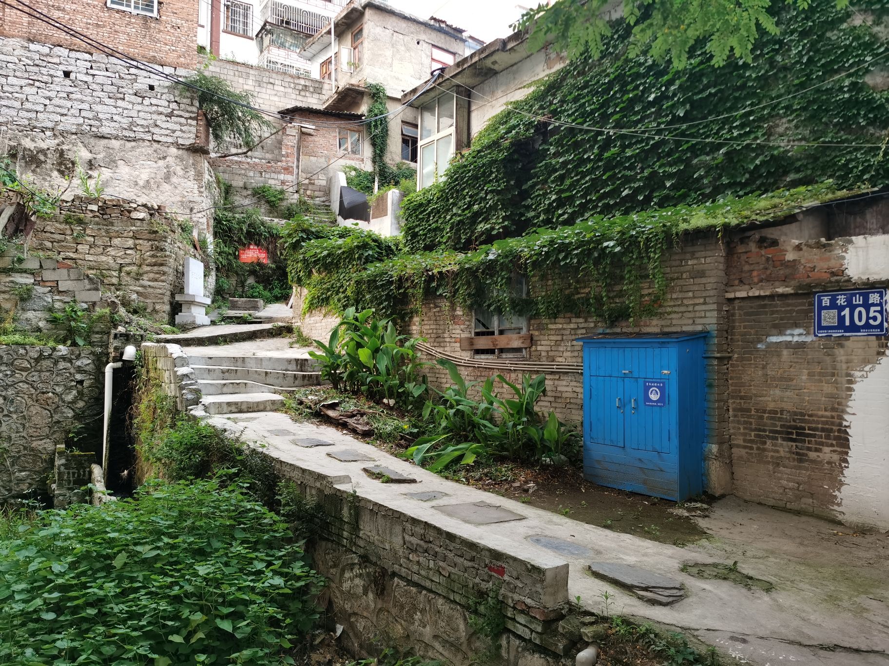 百花山水井旅行图片 2