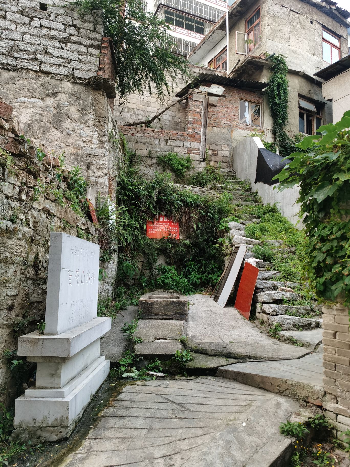 百花山水井旅行图片 3