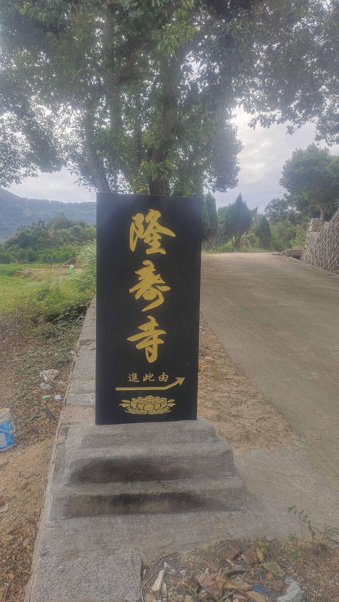 隆寿寺实景照片