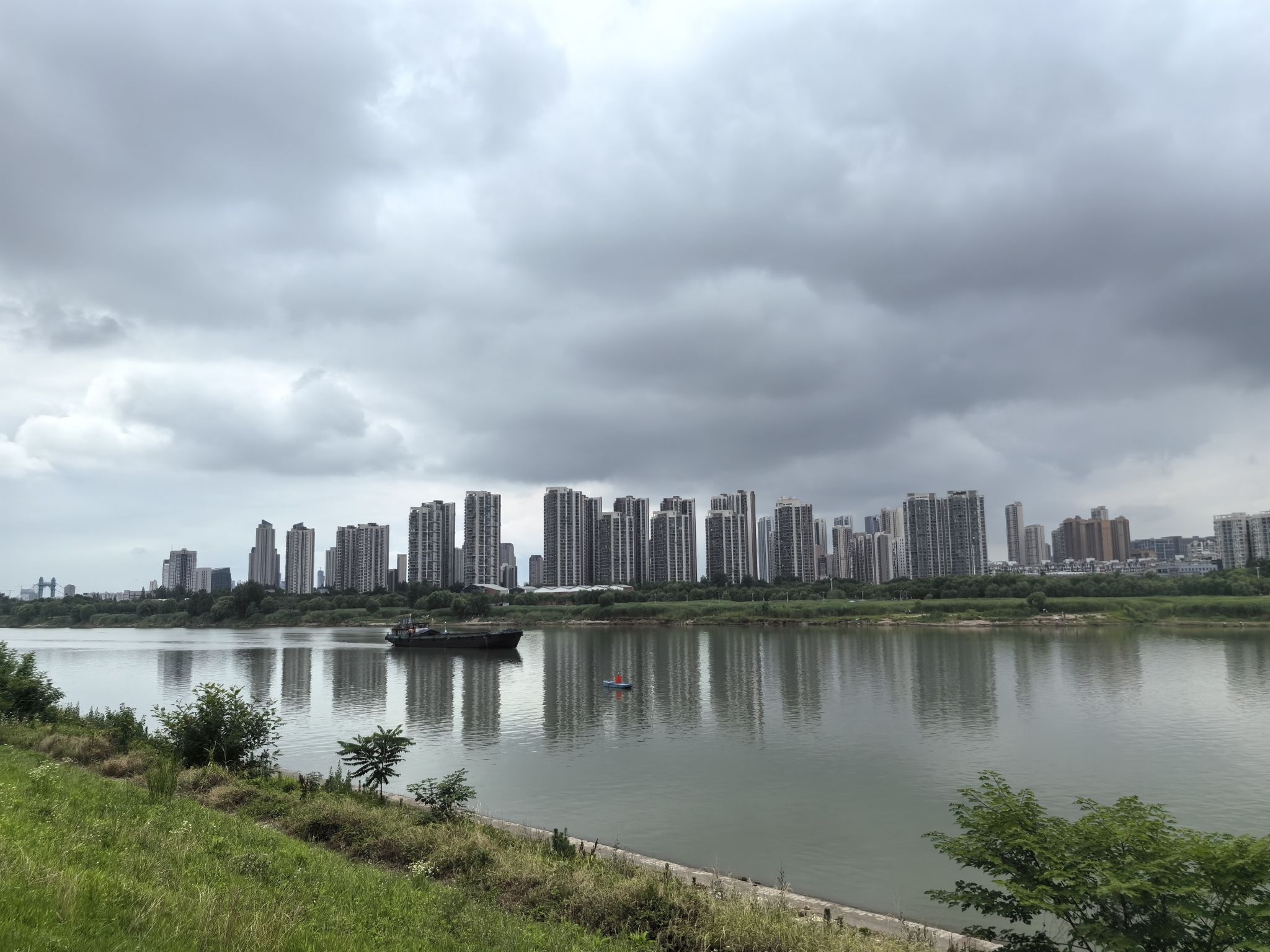 汉江湾桥花田花海旅行图片 3