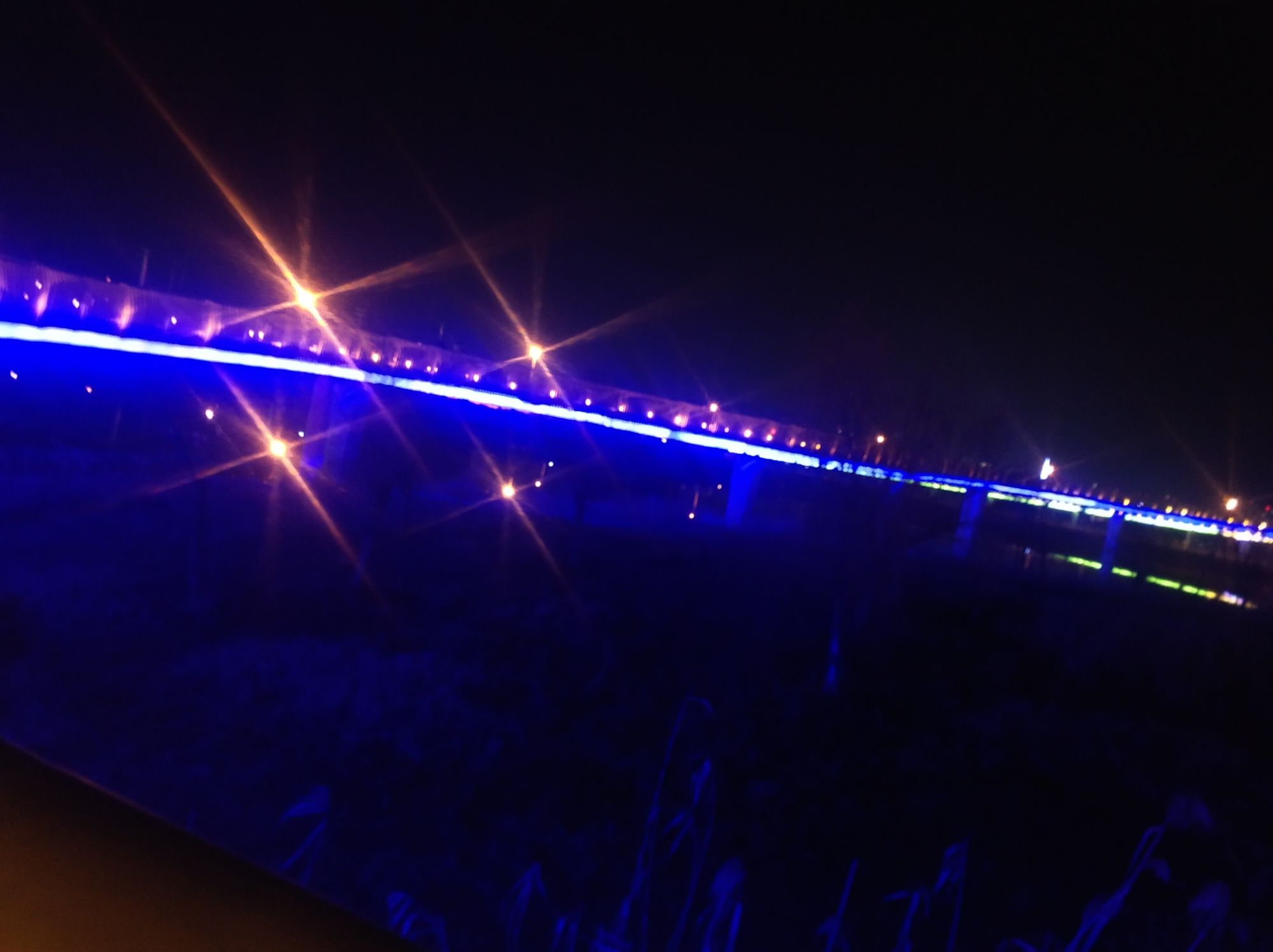 彩虹桥旅行图片 2
