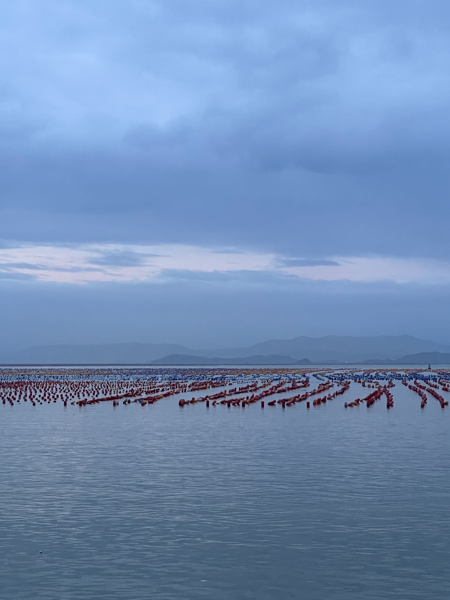 彩虹观海旅行图片 3