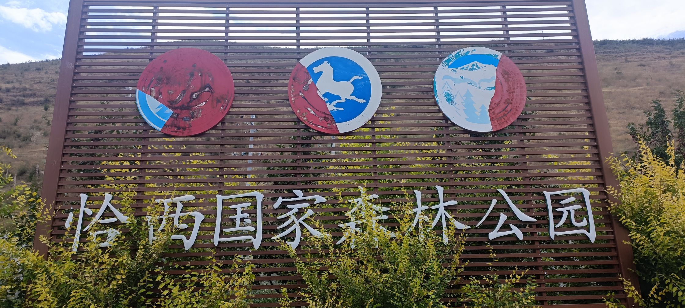 恰西国家森林公园-塔里木景区检票口