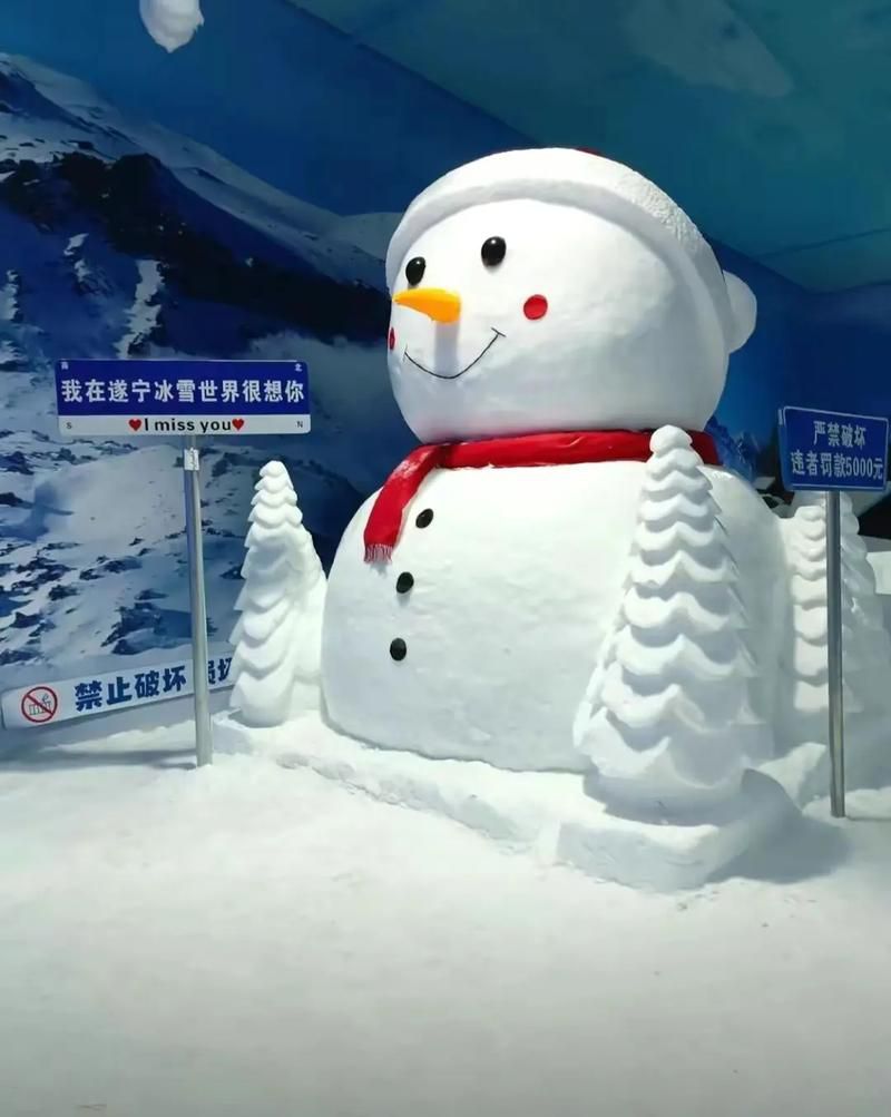 遂宁冰雪世界(经开·大卫茂1958店)旅行图片 1