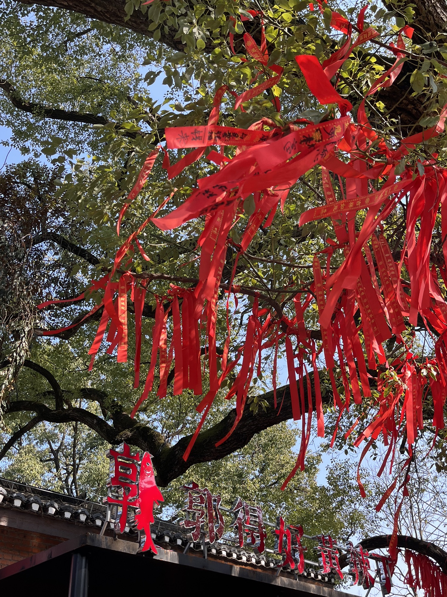 未苏湾旅行图片 1