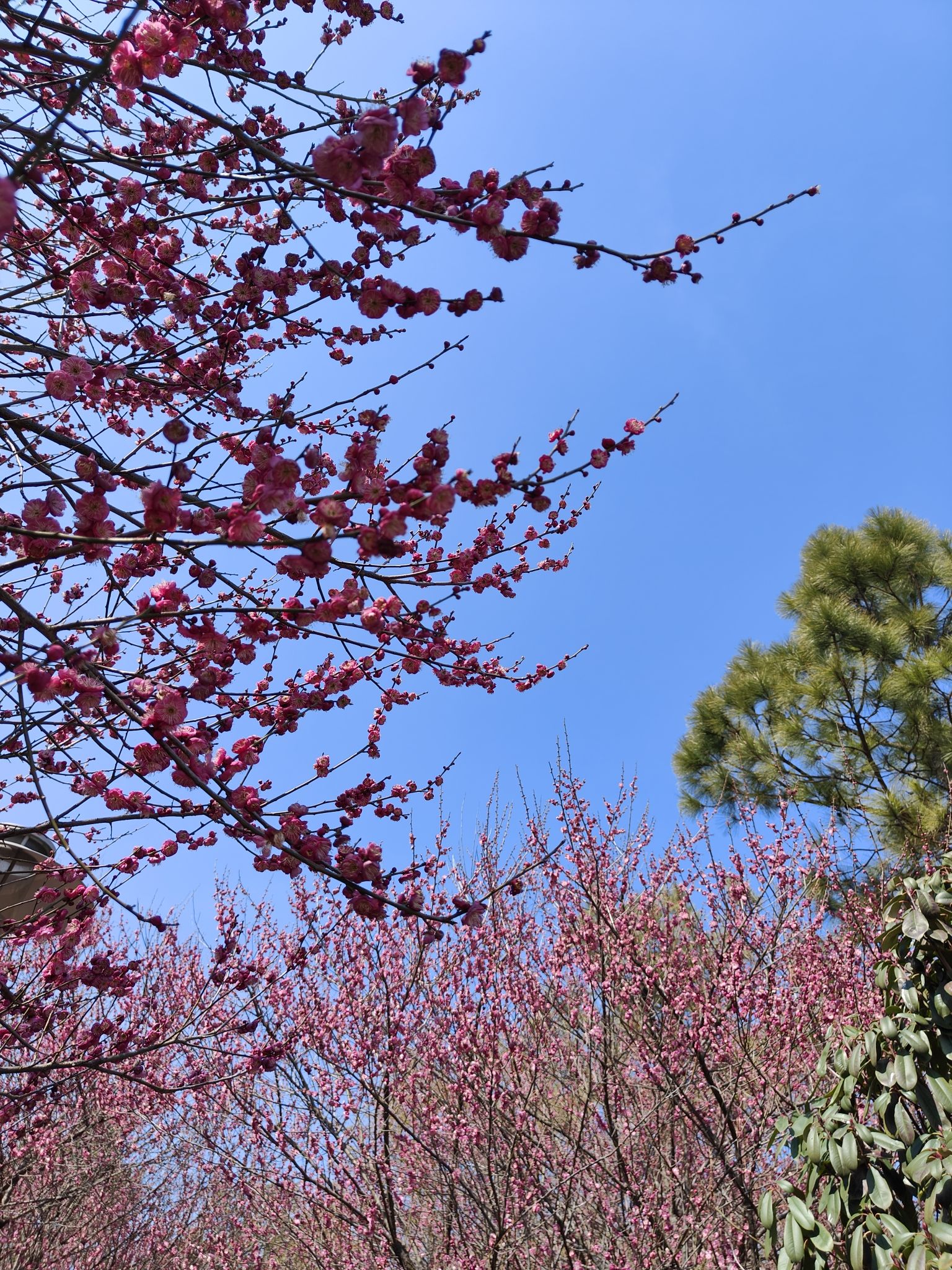 未苏湾旅行图片 2