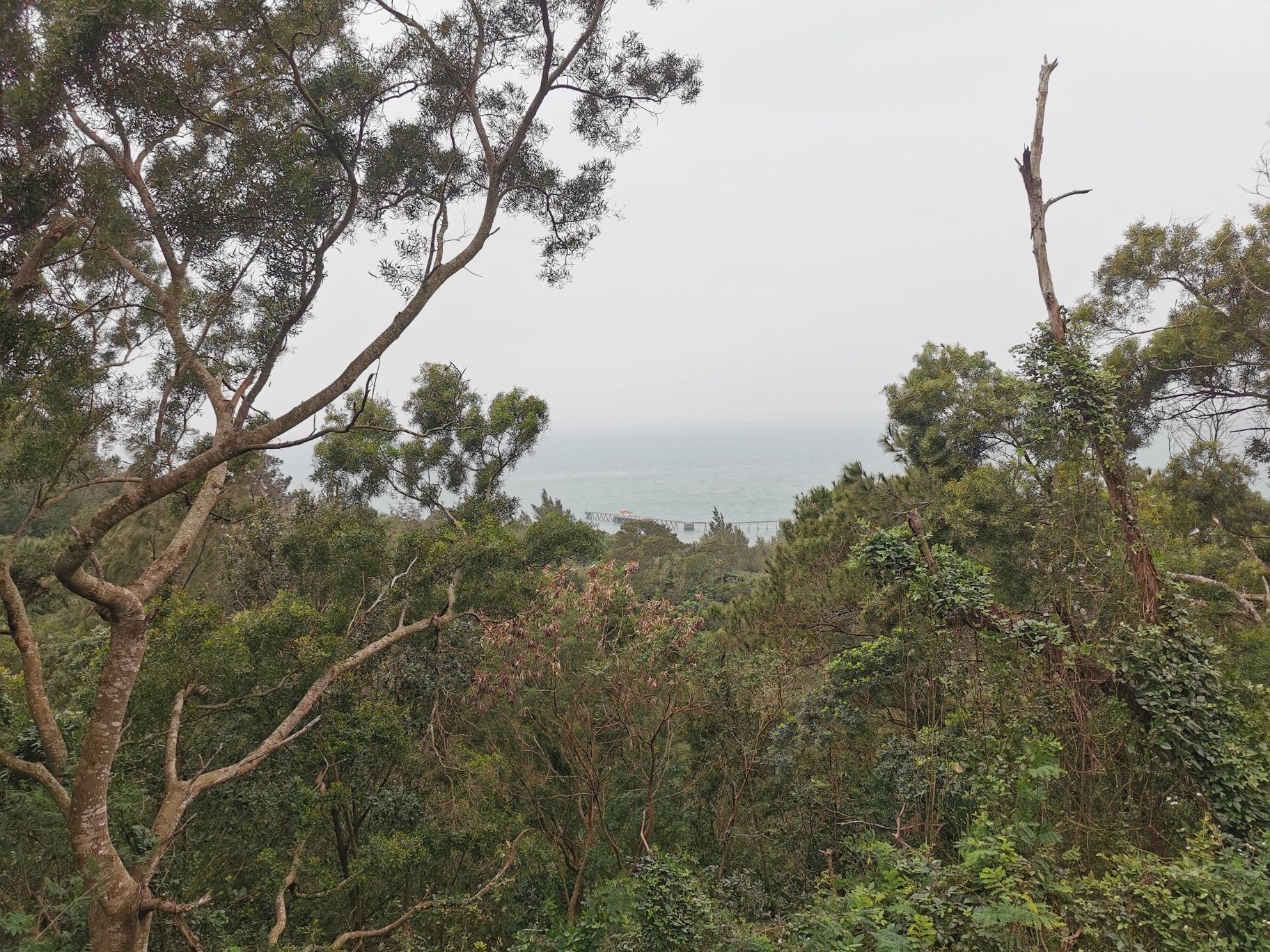 冠头岭观海点旅行图片 3
