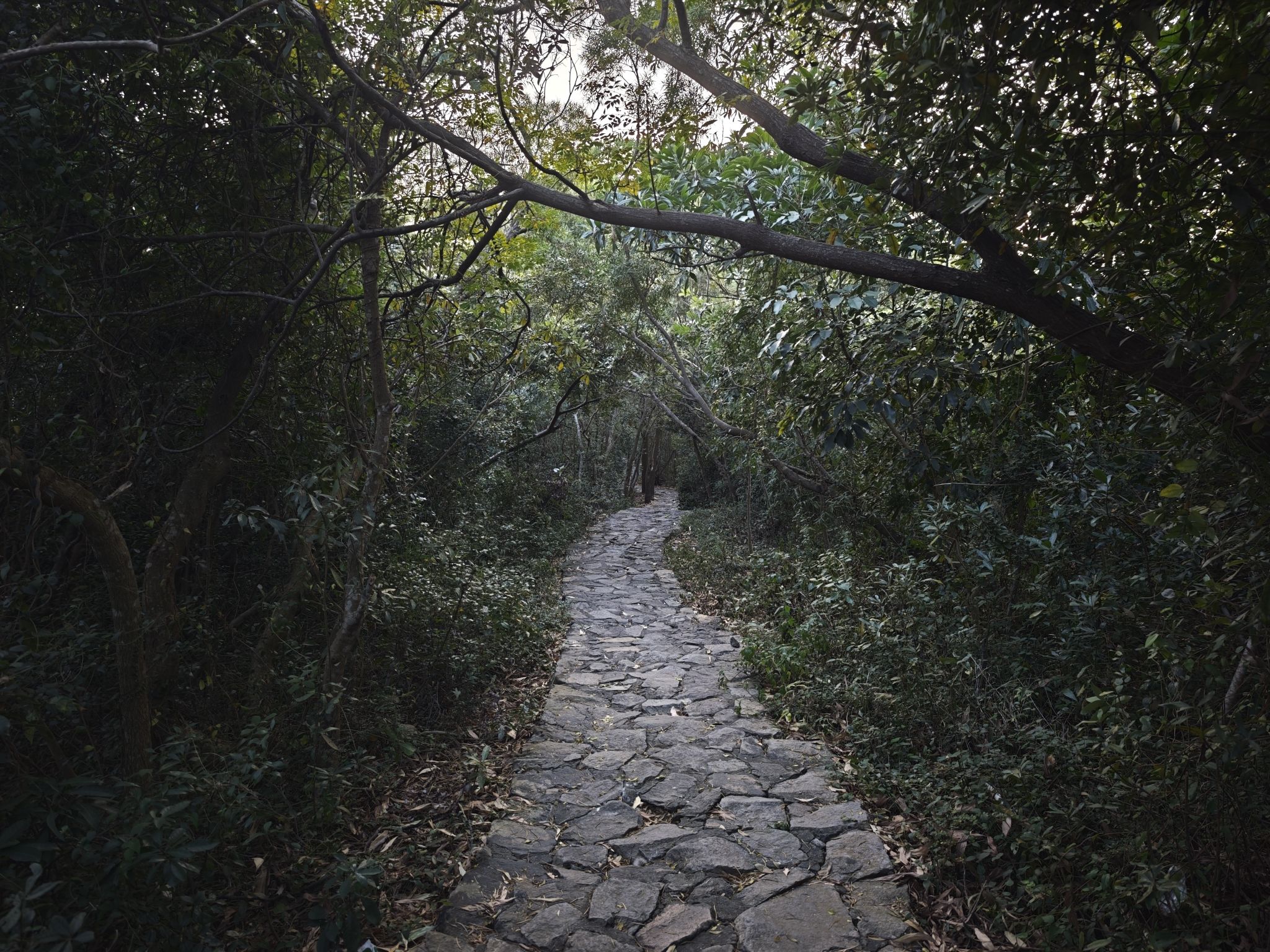 冠头岭观海点旅行图片 2