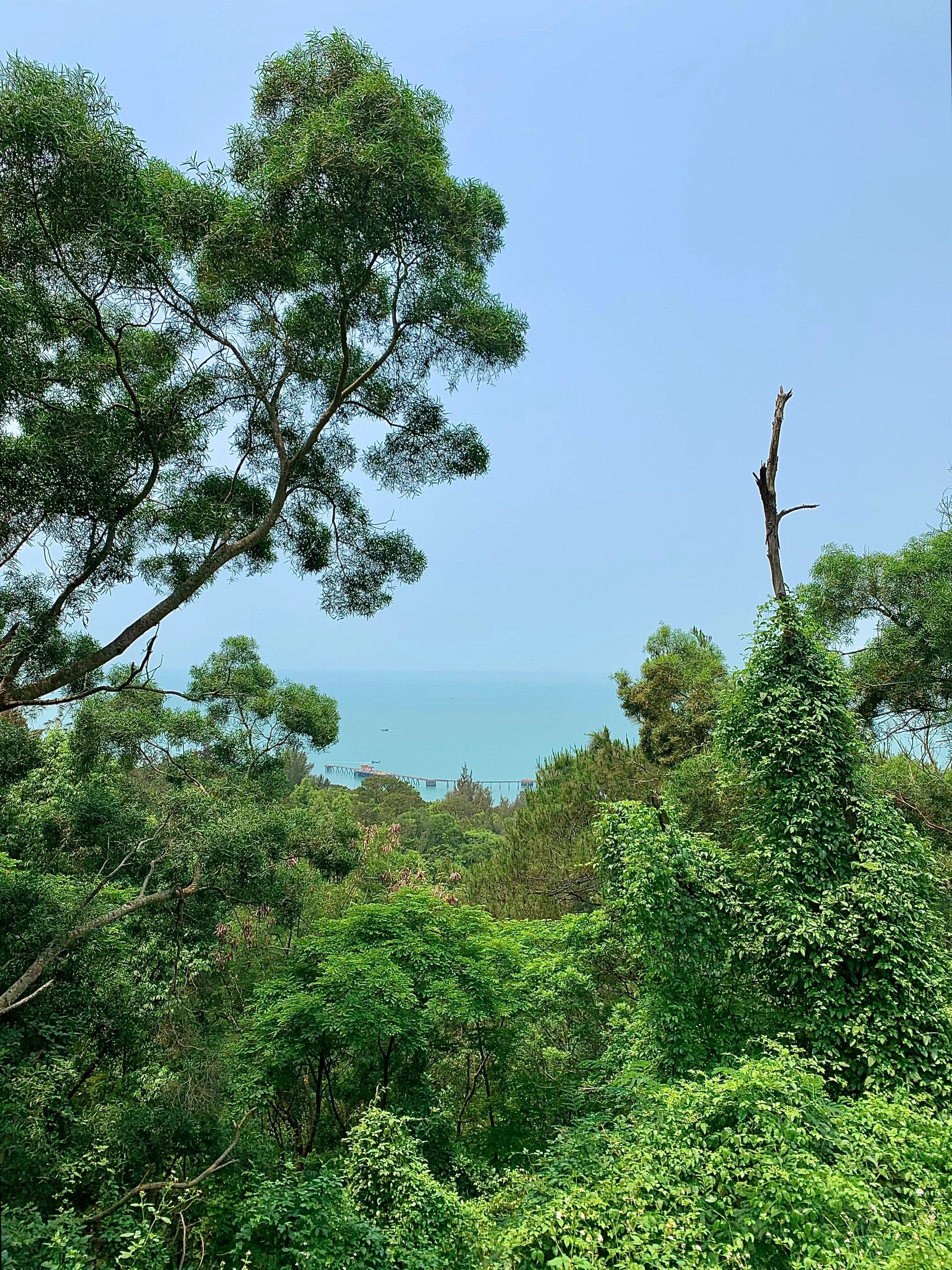 冠头岭观海点旅行图片 2