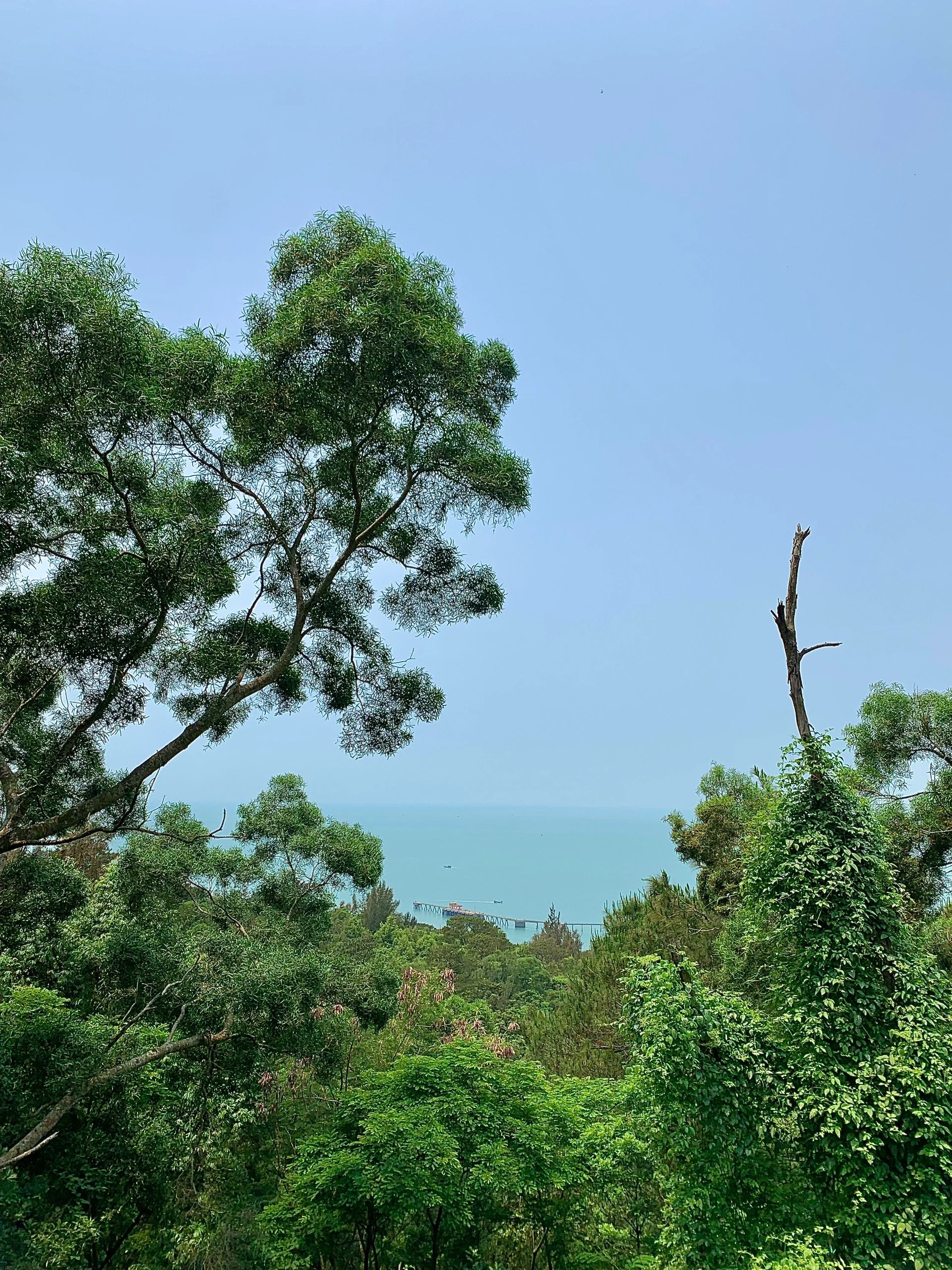 冠头岭观海点旅行图片 3