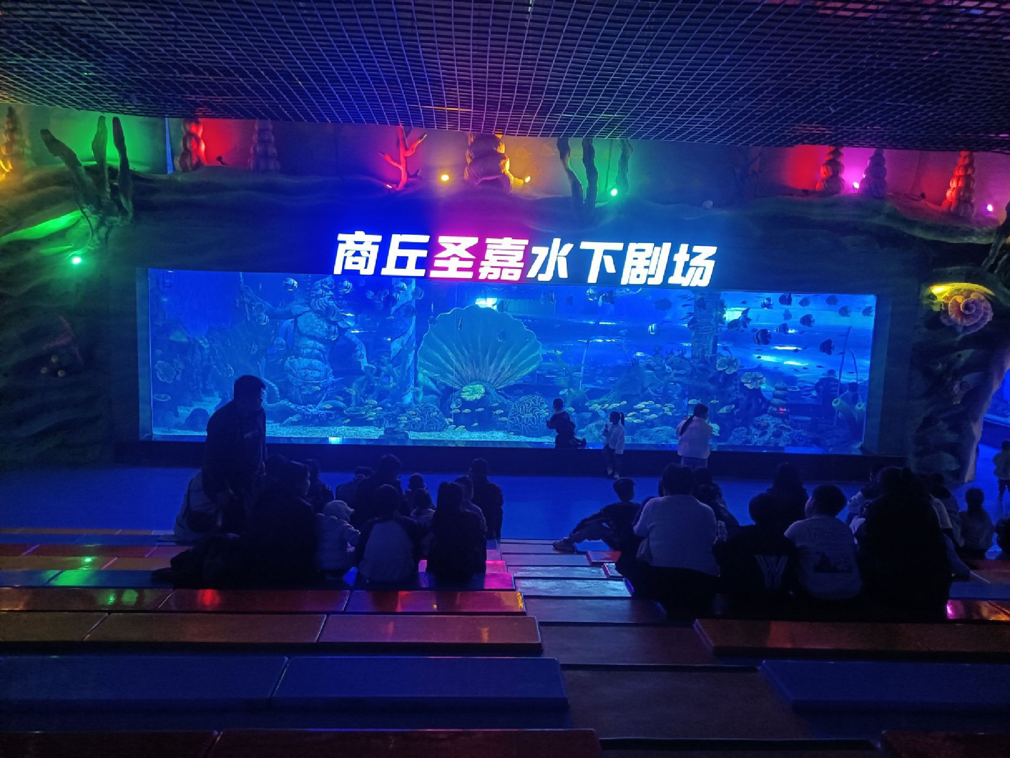 商丘圣嘉极地海洋世界旅行图片 1