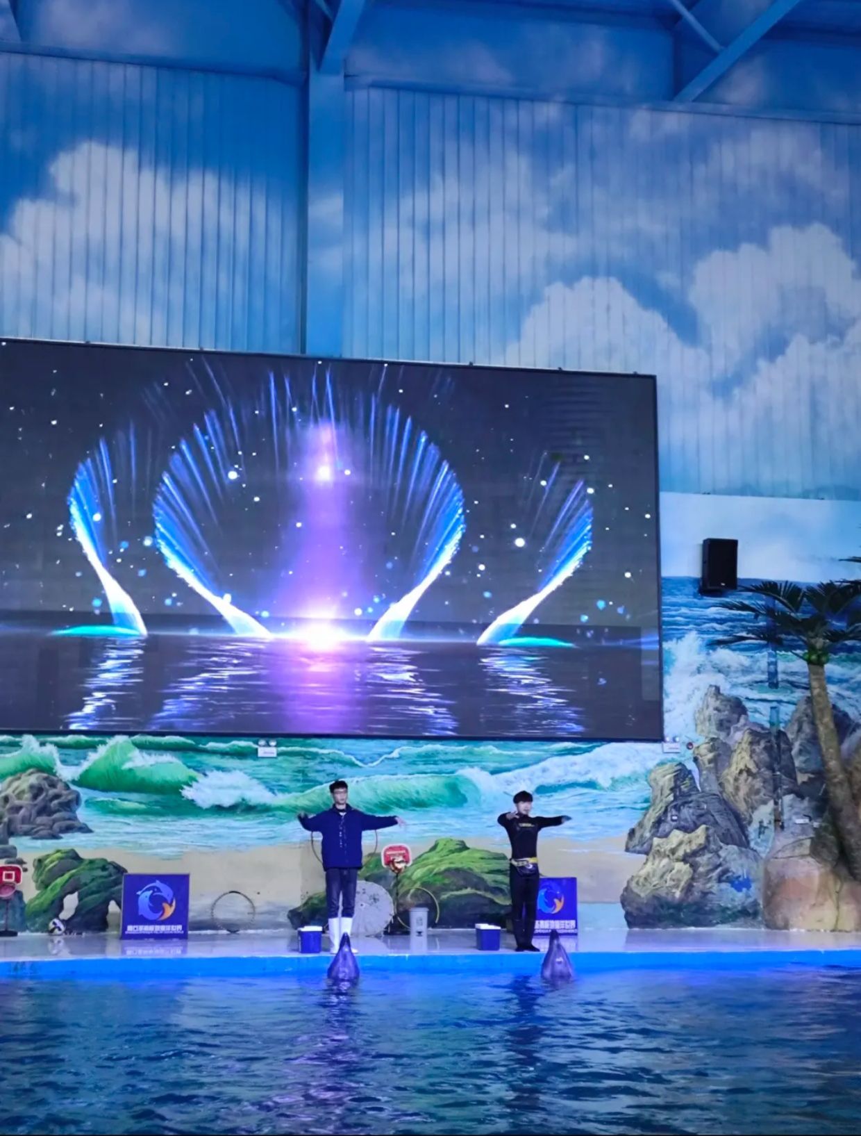 商丘圣嘉极地海洋世界旅行图片 1