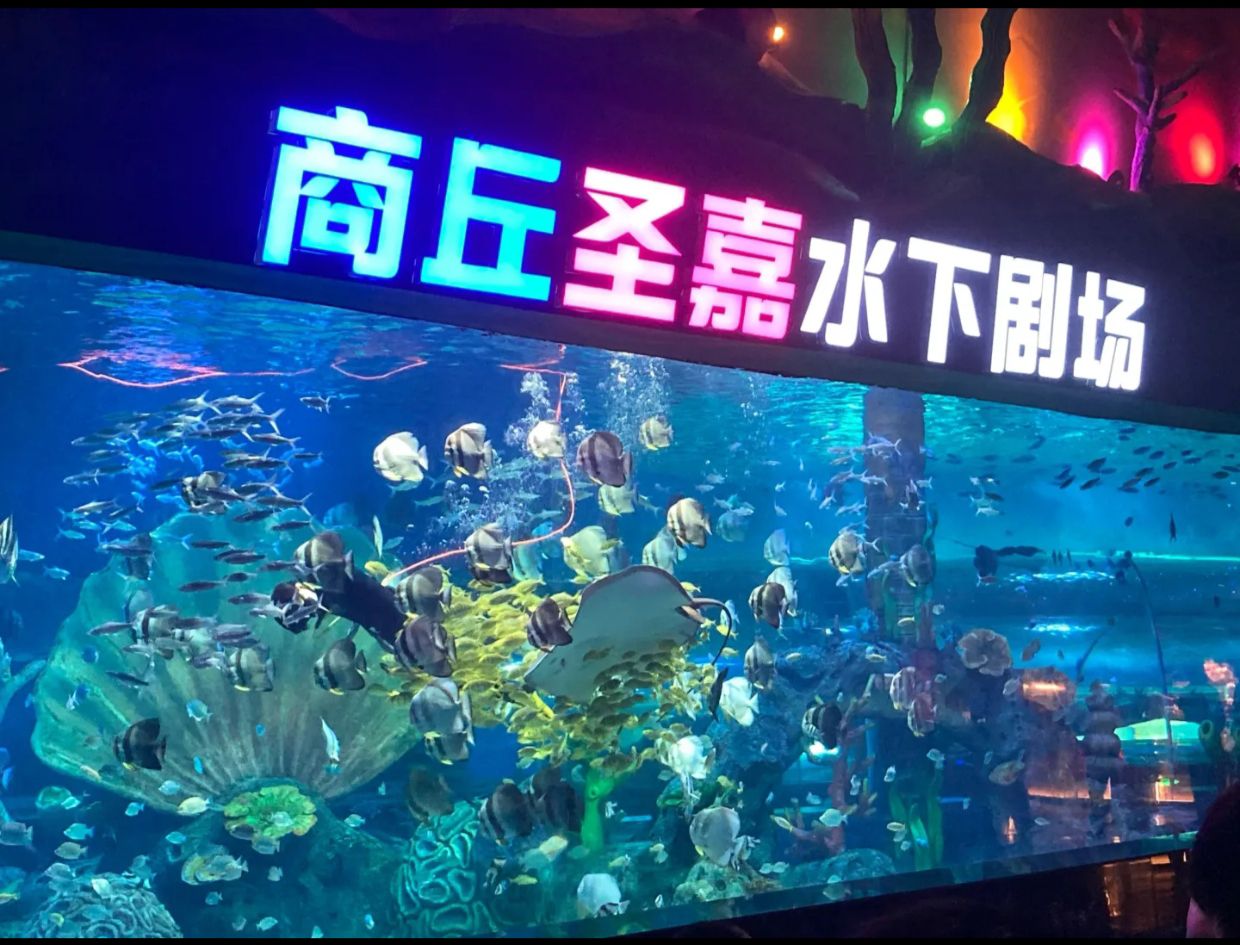 商丘圣嘉极地海洋世界旅行图片 3