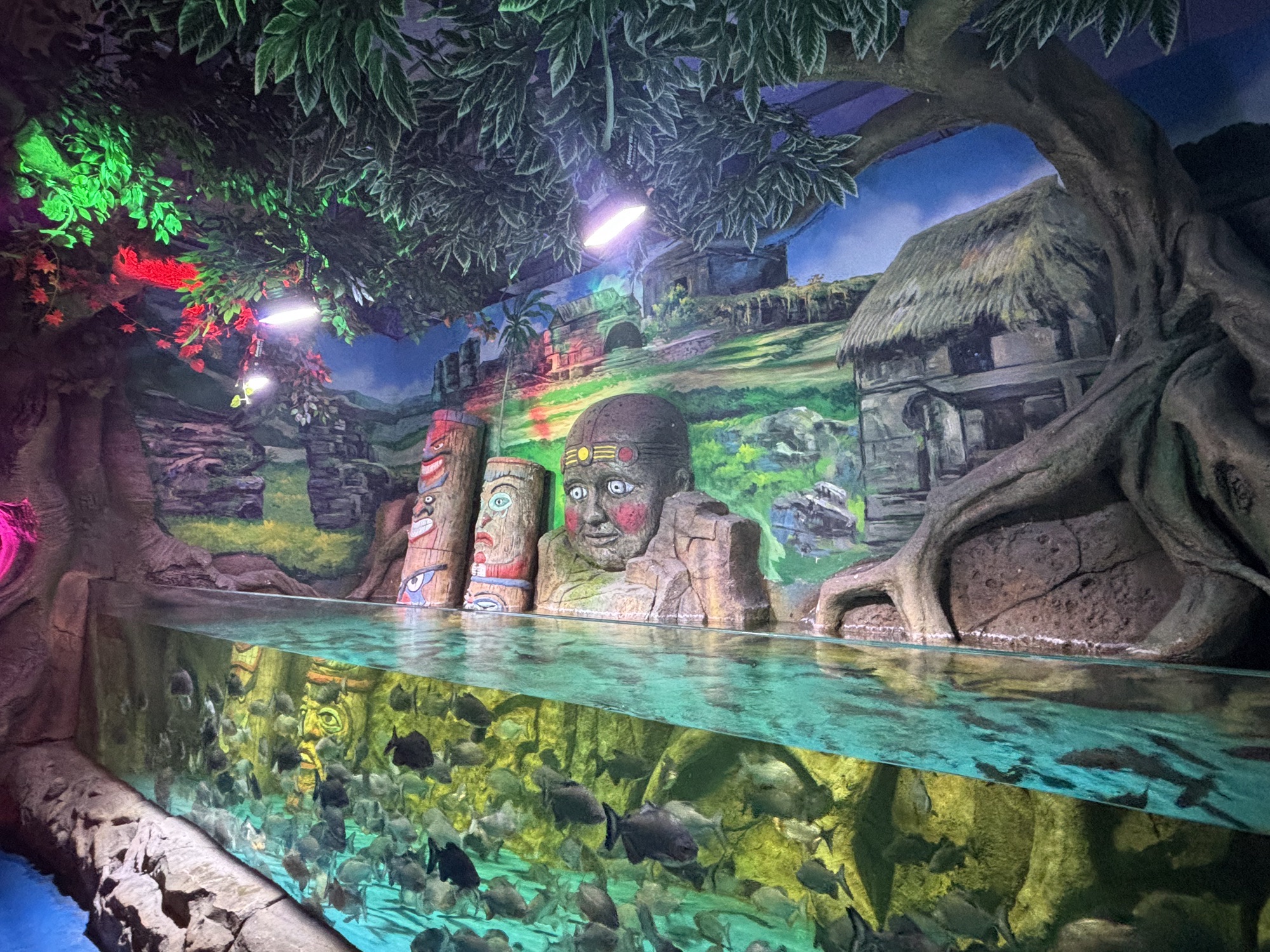商丘圣嘉极地海洋世界旅行图片 3