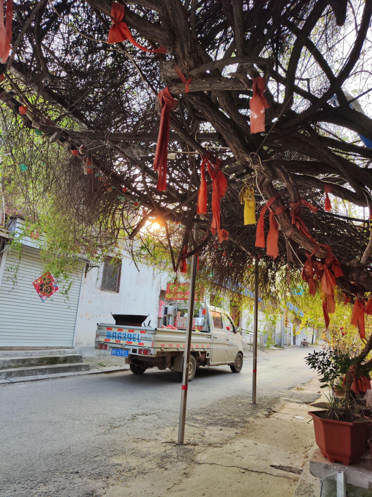 圣旨碑旅行图片 1