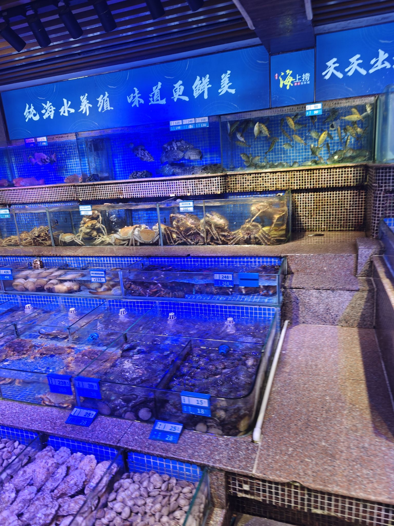 青蓬海上捞蒸品海鲜城(万象城店)