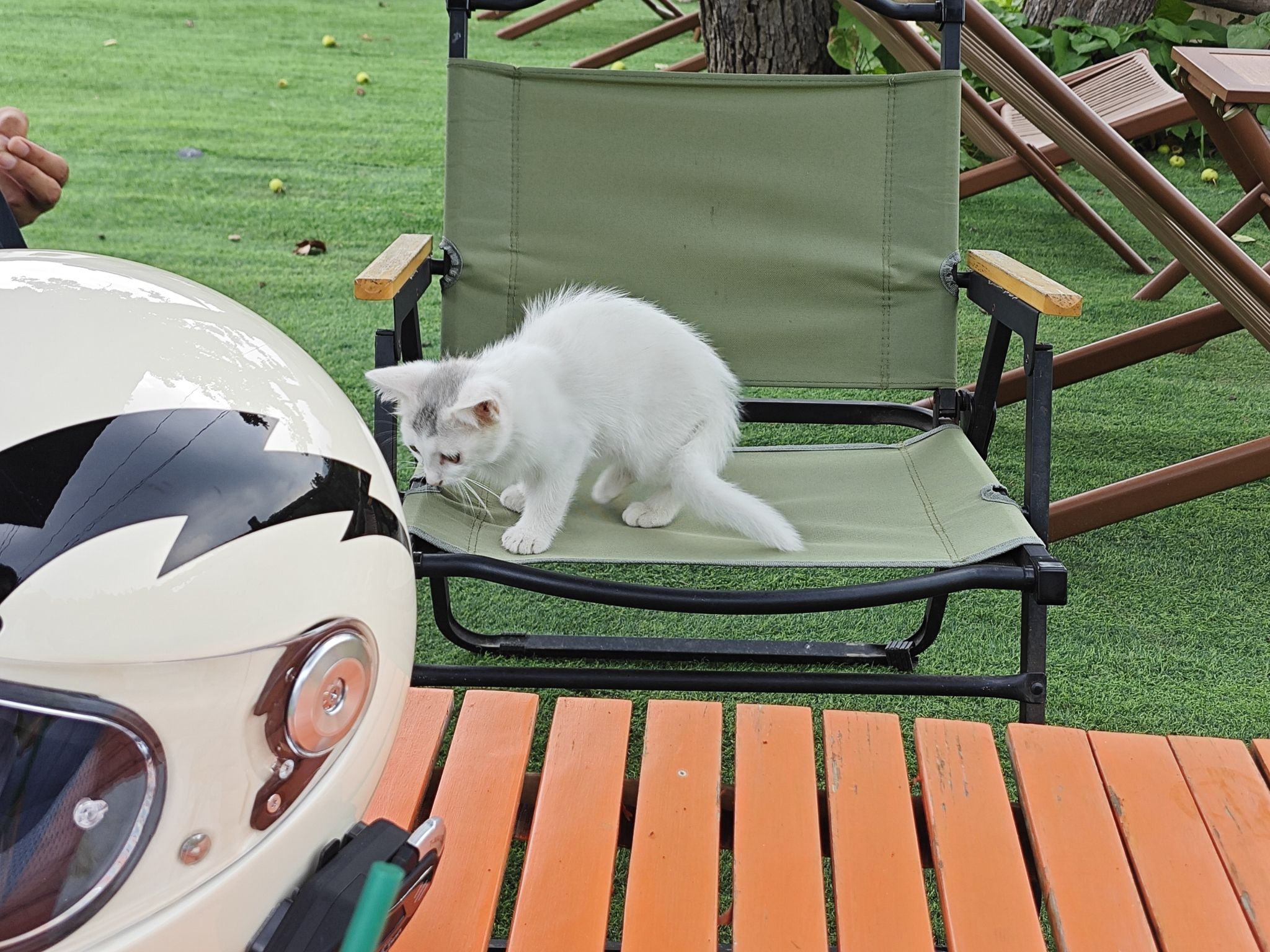 场地封面-骑士の茶露营地