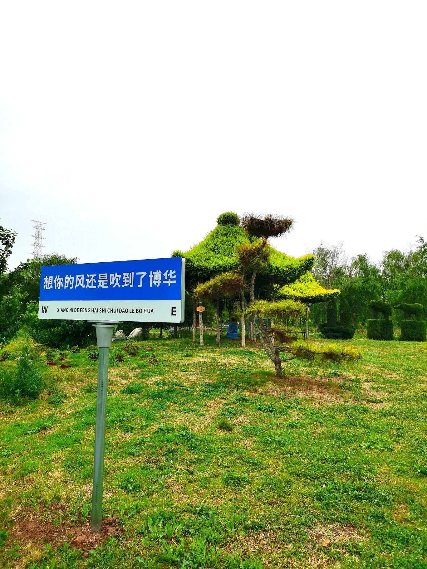 博华孔子草花园旅行图片 2