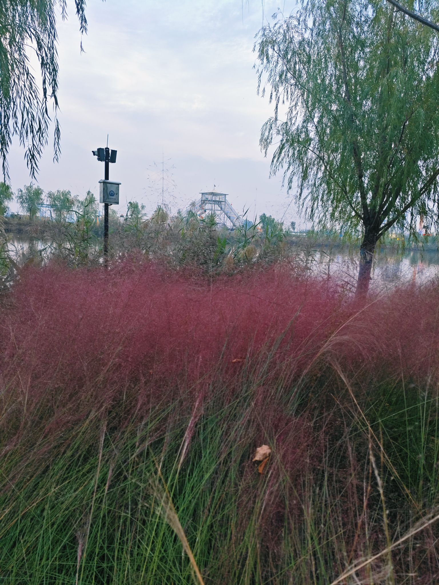 运河古镇-西街牌坊旅行图片 3