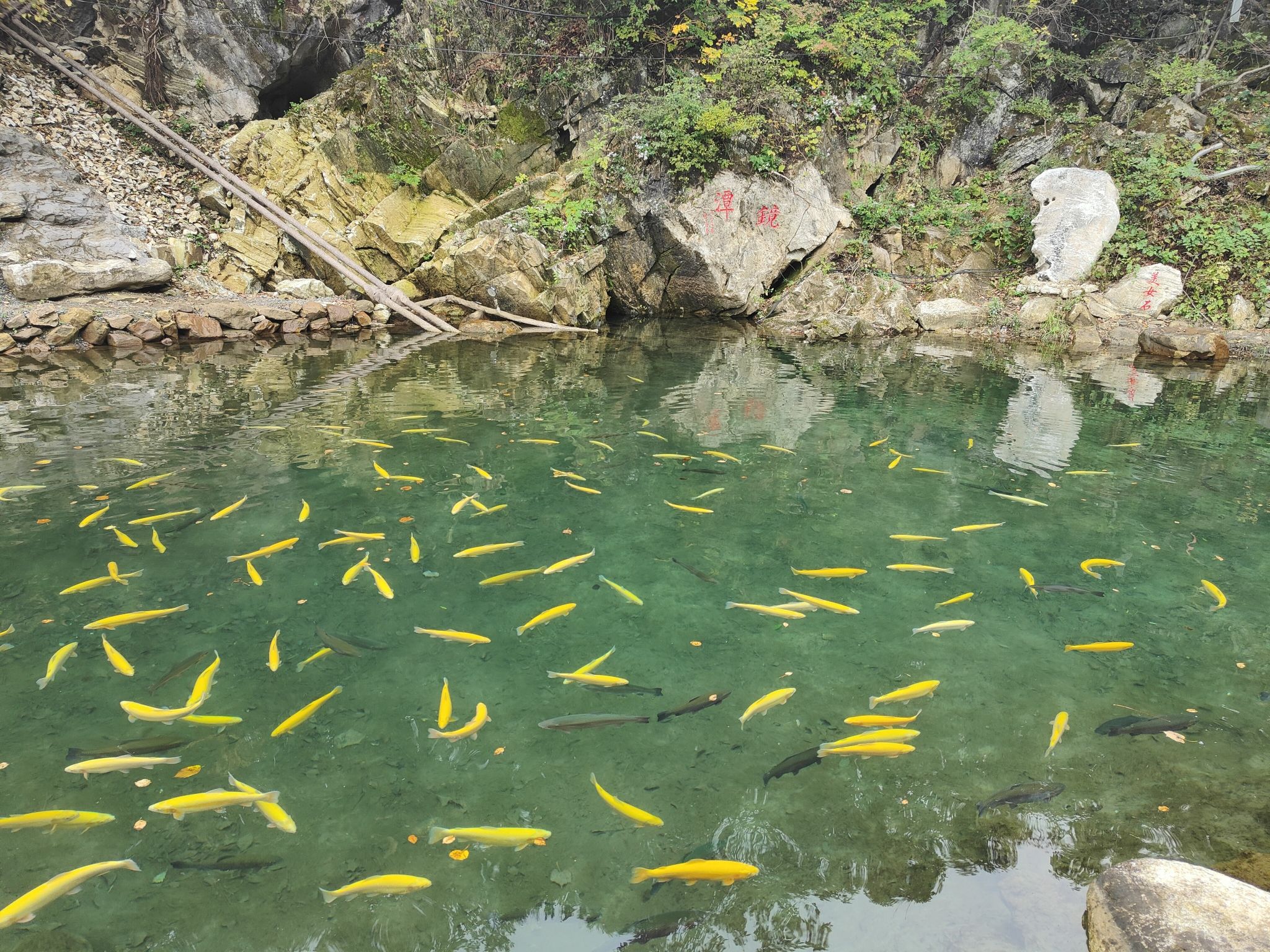 祥水源景区(暂停开放)旅行图片 1