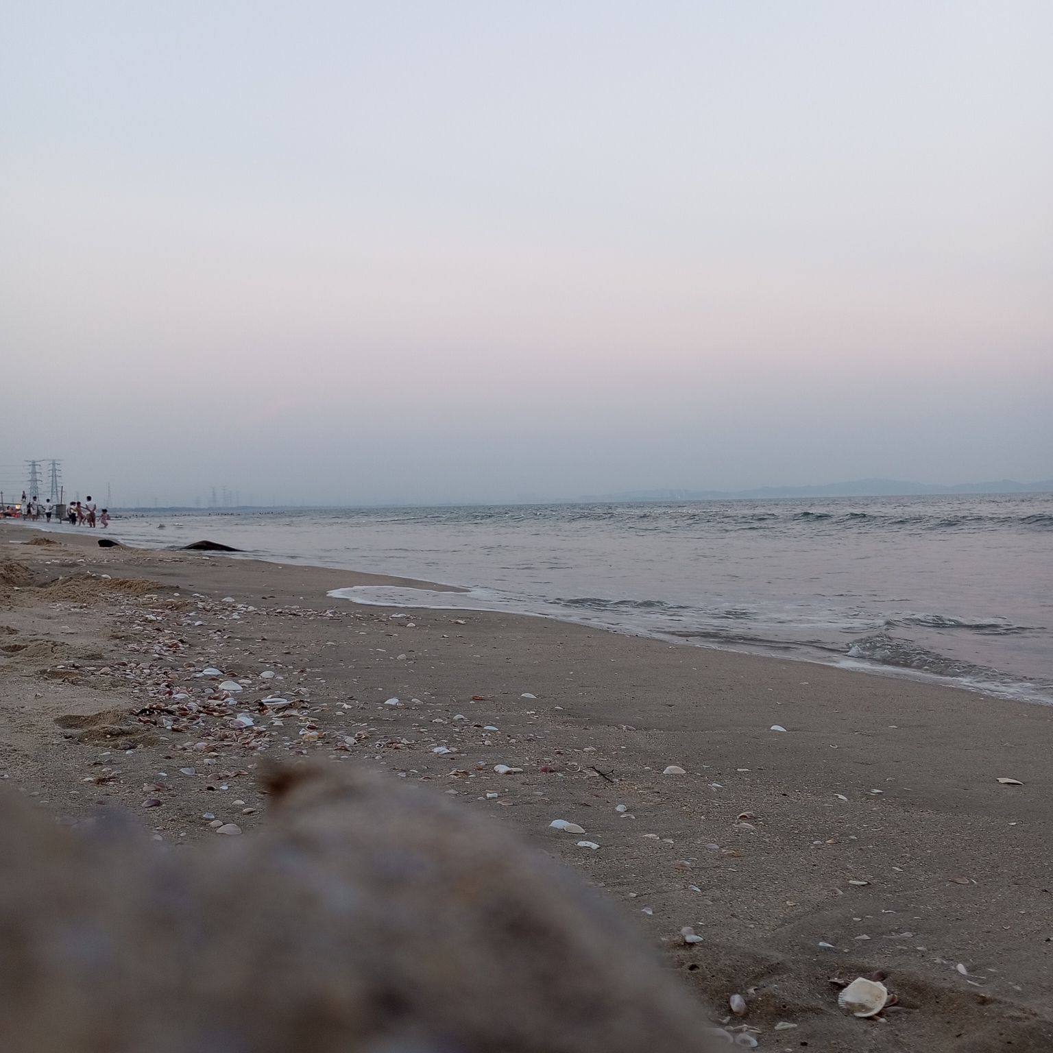 海洋沙滩浅海旅行图片 3