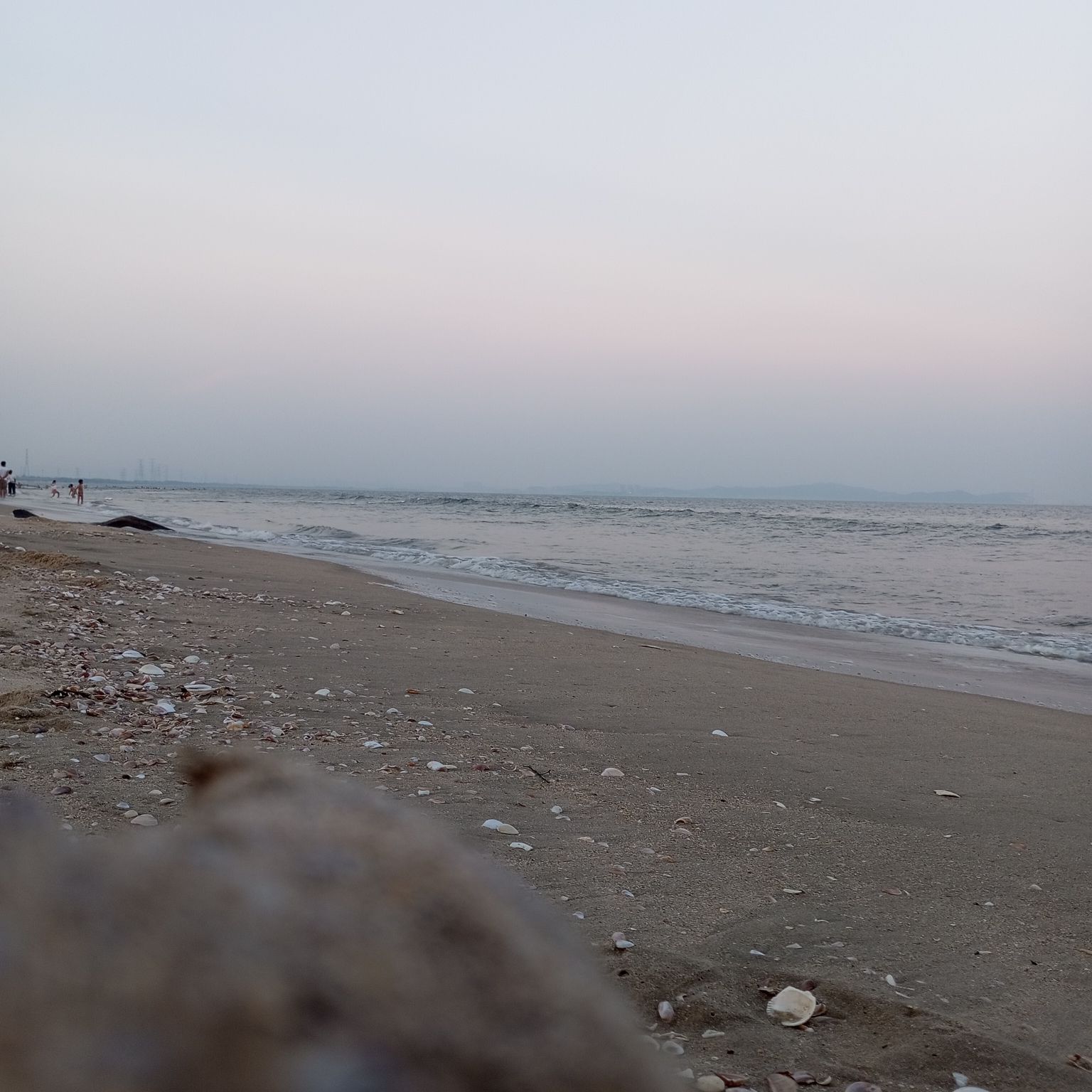 海洋沙滩浅海旅行图片 2
