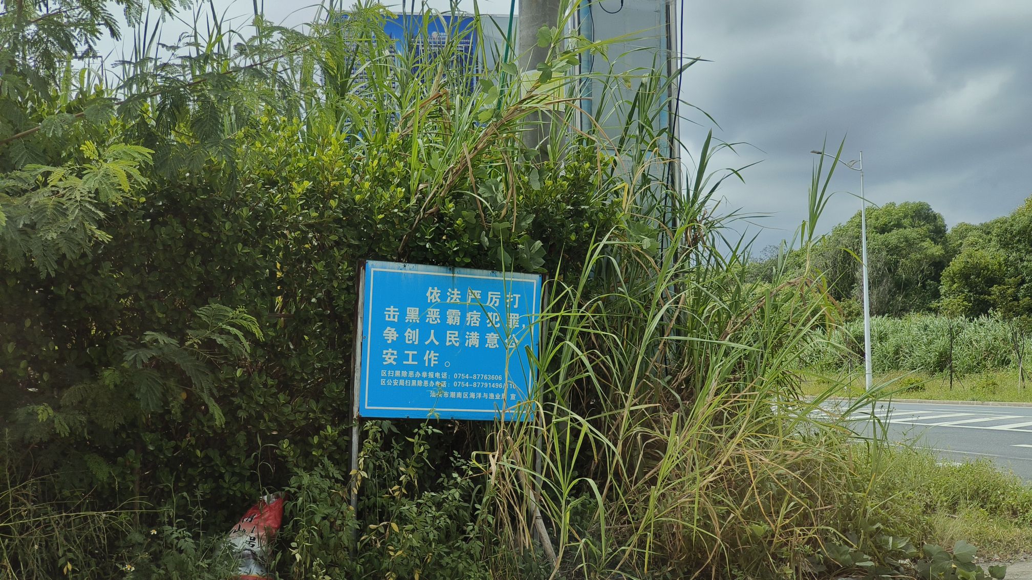 海洋沙滩浅海旅行图片 3