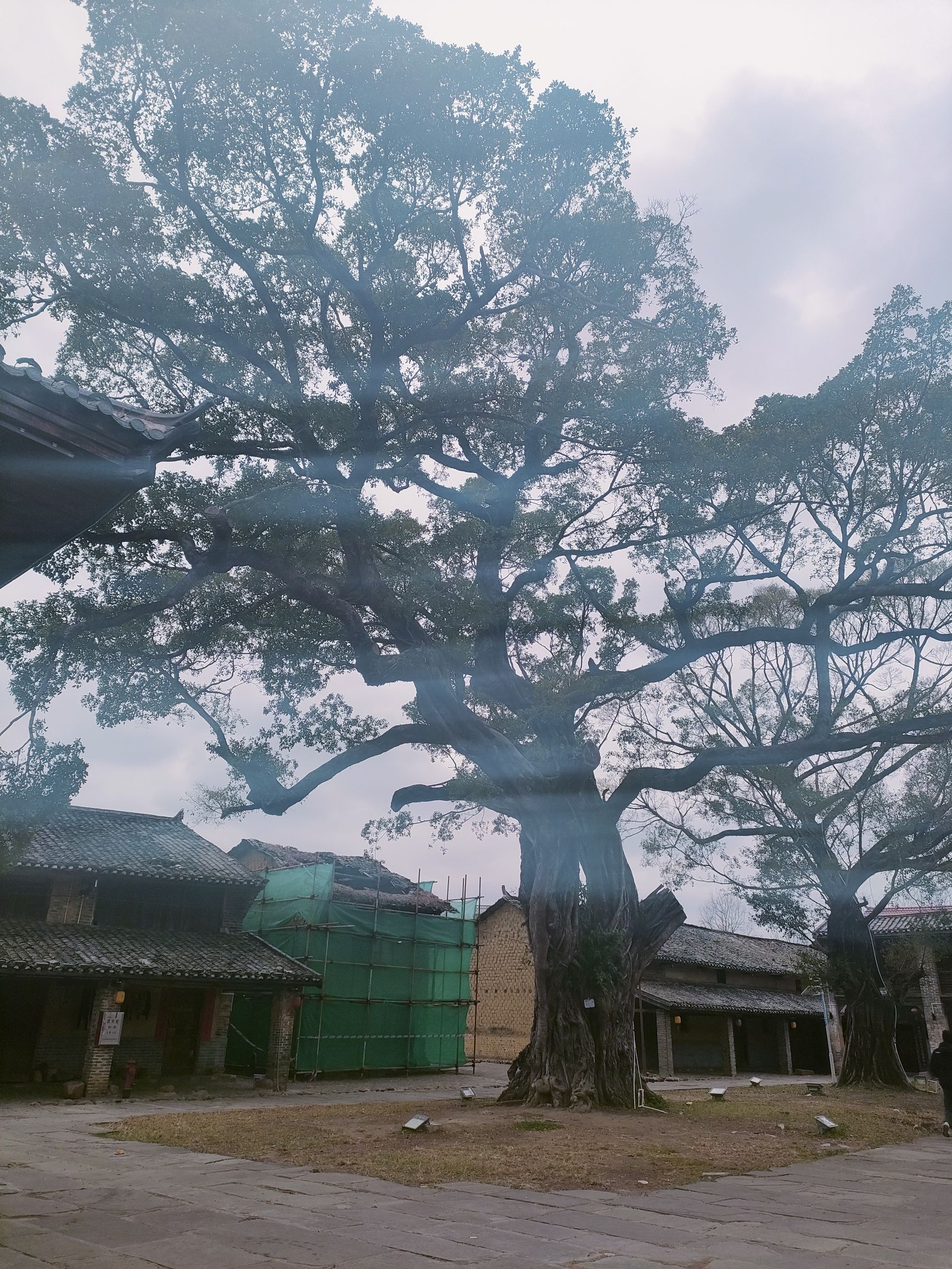 周前古村旅行图片 3