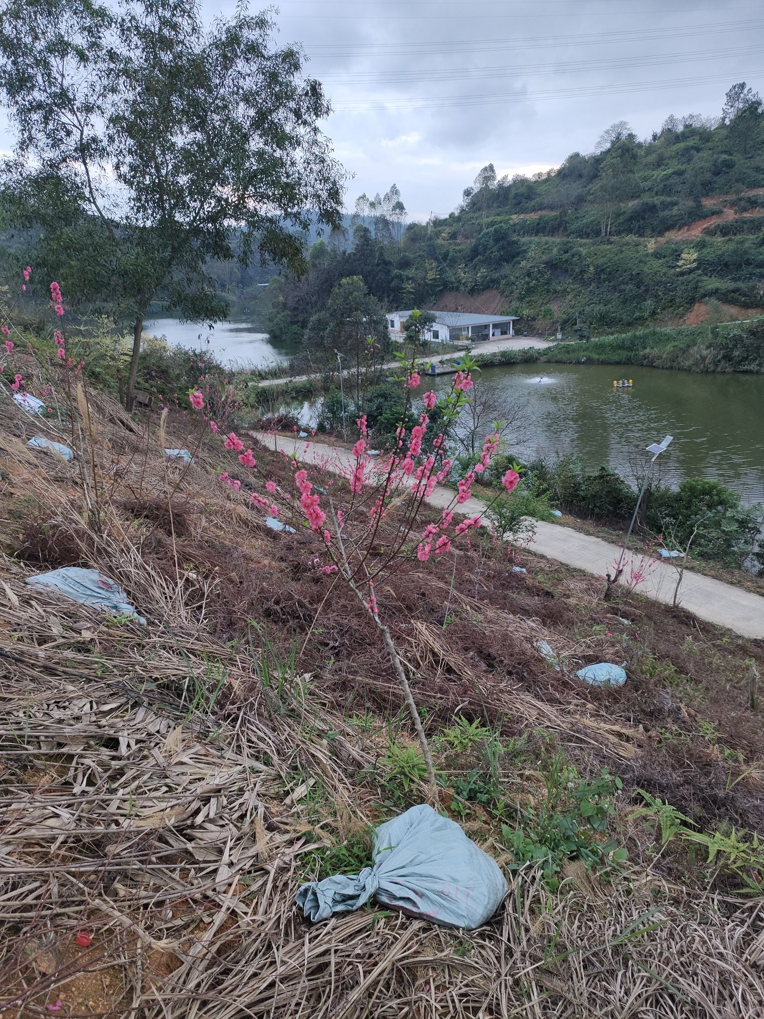 云浮市新兴县新城区庞村农场