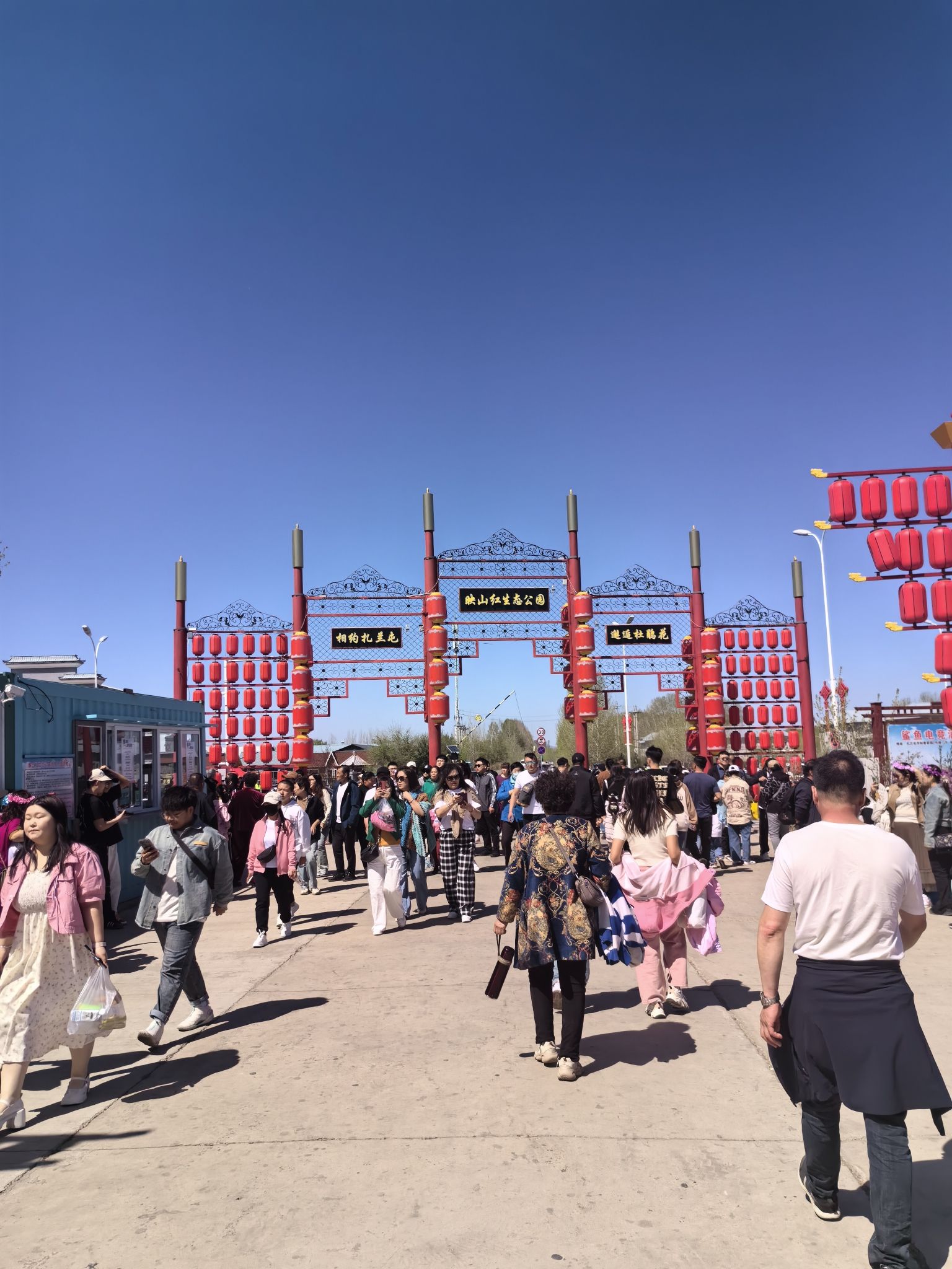 翠屏山杜鹃坡旅行图片 2