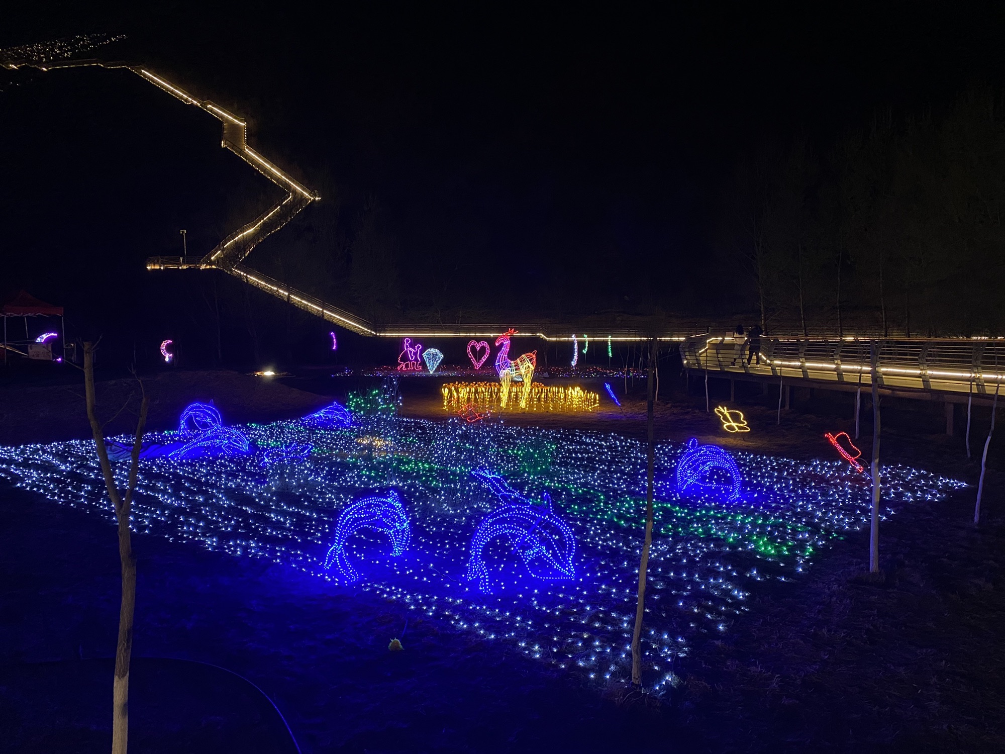 翠屏山杜鹃坡旅行图片 3