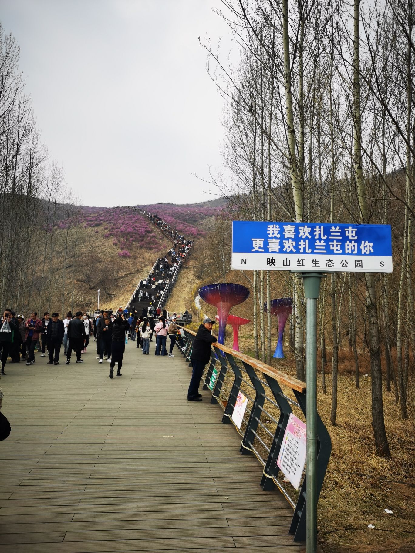 翠屏山杜鹃坡旅行图片 2