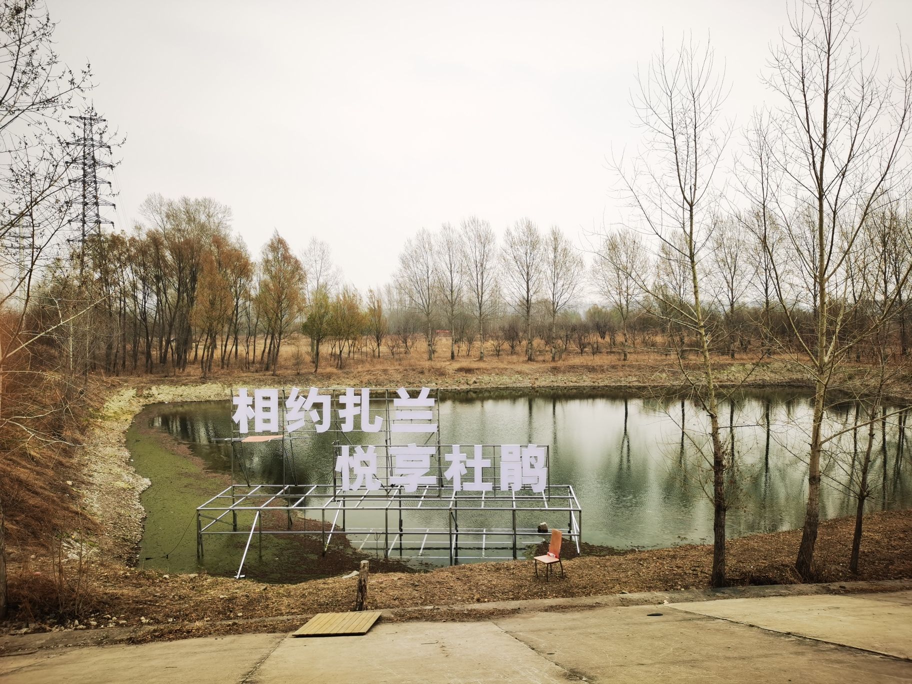 翠屏山杜鹃坡旅行图片 3